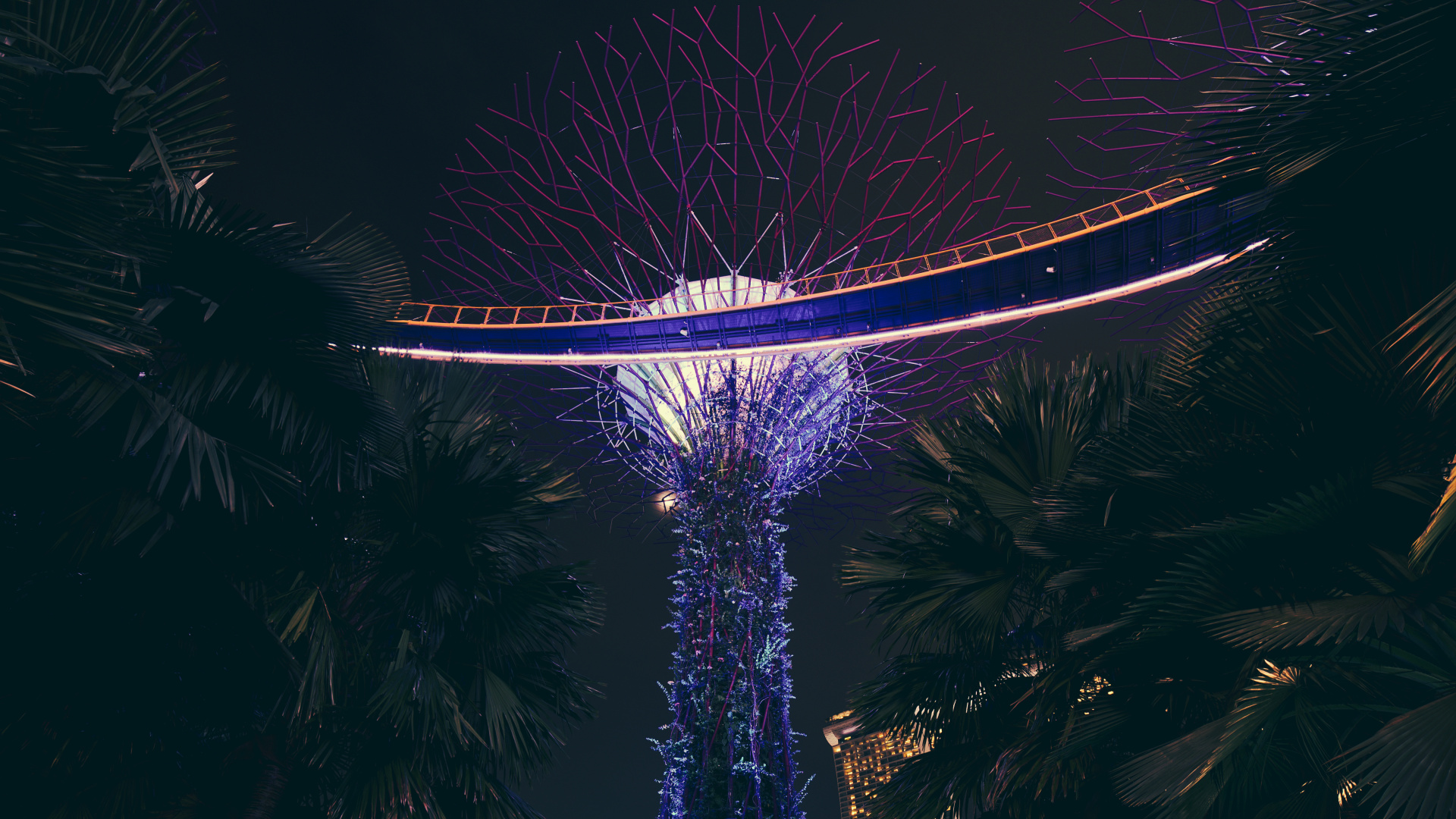 Weiß Und Blau Beleuchtetes Riesenrad Während Der Nacht. Wallpaper in 1920x1080 Resolution