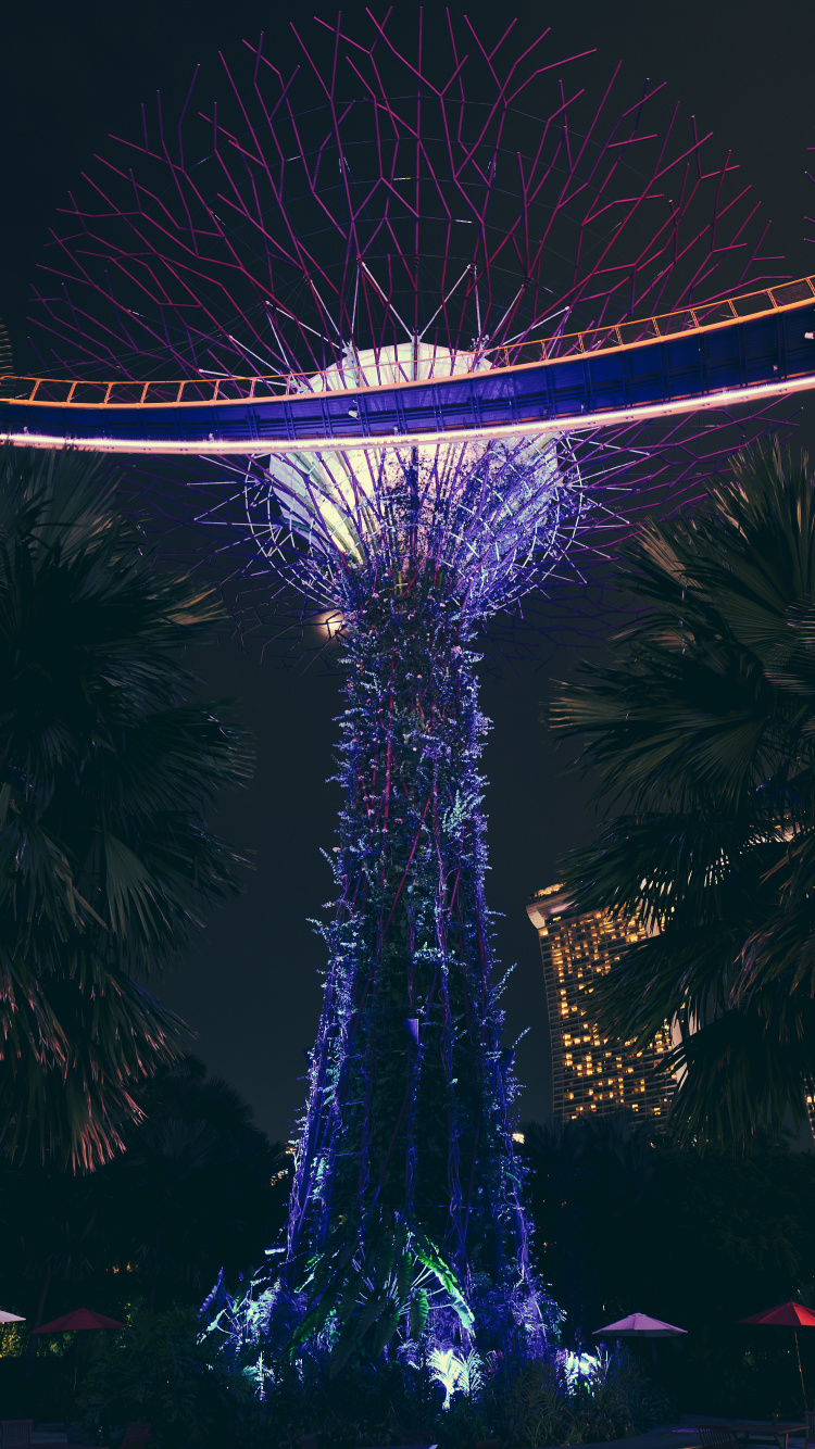 Weiß Und Blau Beleuchtetes Riesenrad Während Der Nacht. Wallpaper in 750x1334 Resolution