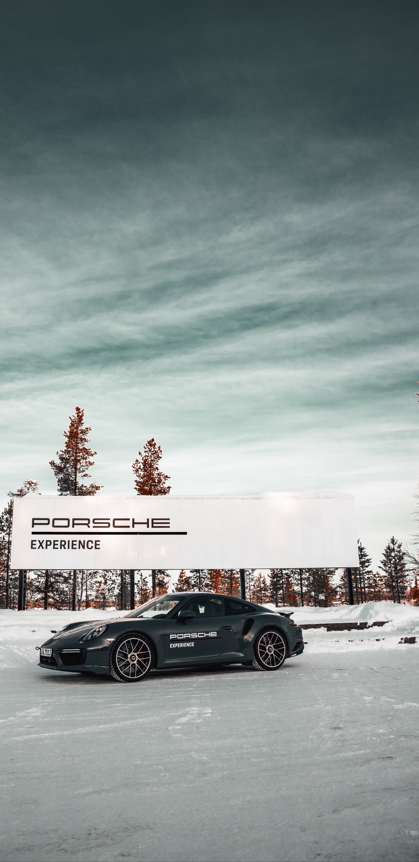 Porsche, dr Ing Hcf Porsche Ag, Coche, Porsche 930, Deportivo. Wallpaper in 1440x2960 Resolution