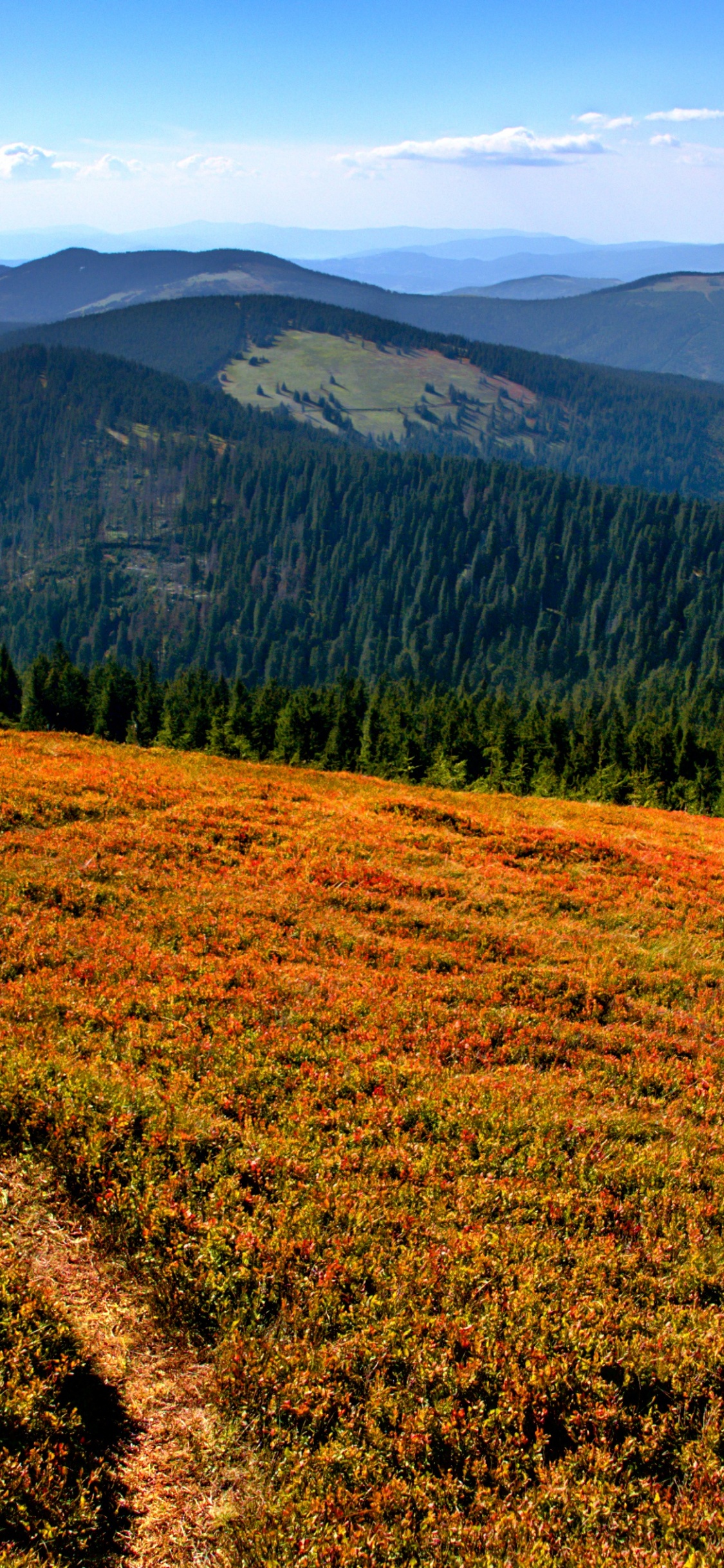 Wilderness, Mountain, Plant, Plant Community, Natural Environment. Wallpaper in 1125x2436 Resolution