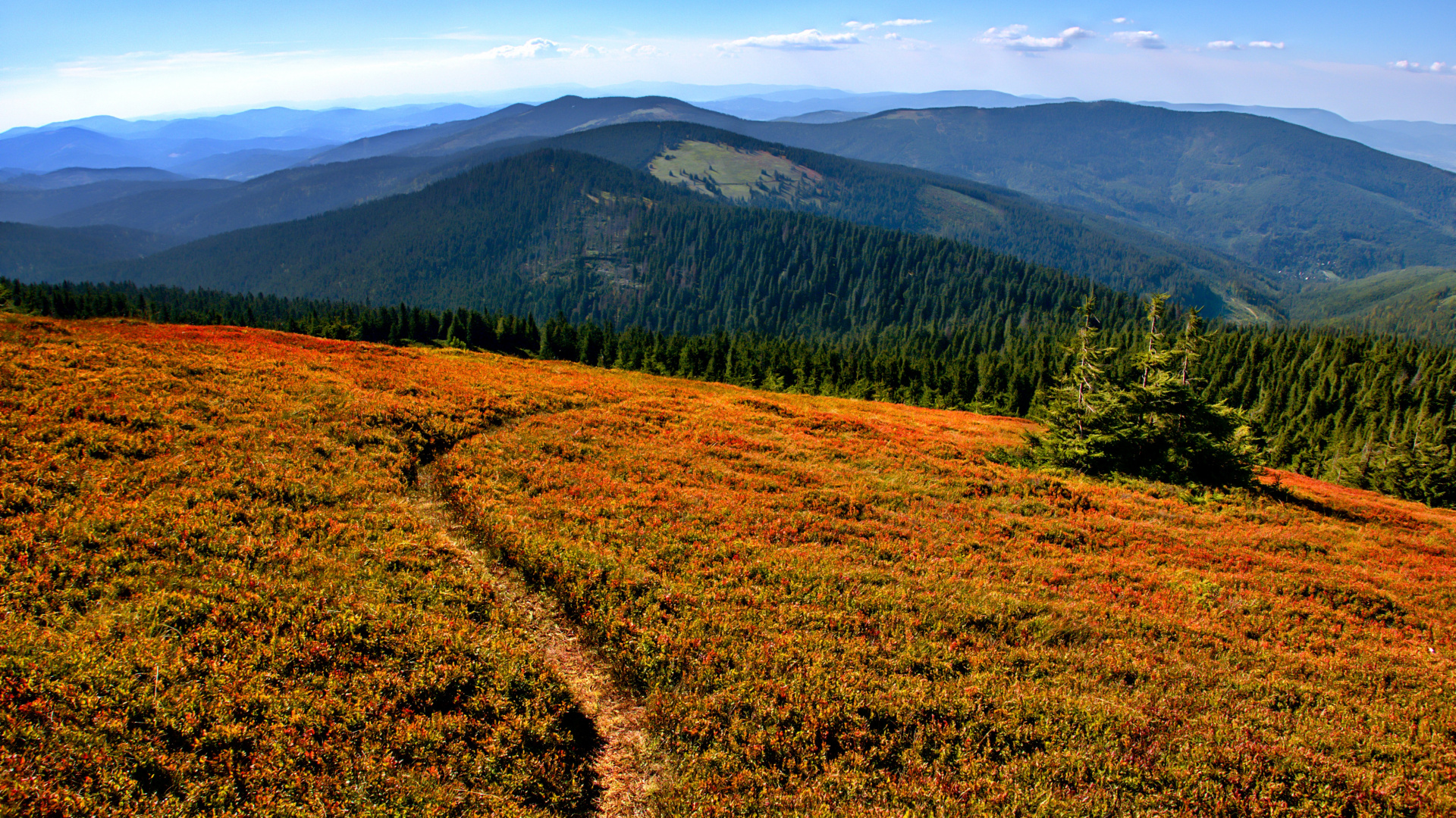 Wilderness, Mountain, Plant, Plant Community, Natural Environment. Wallpaper in 1920x1080 Resolution