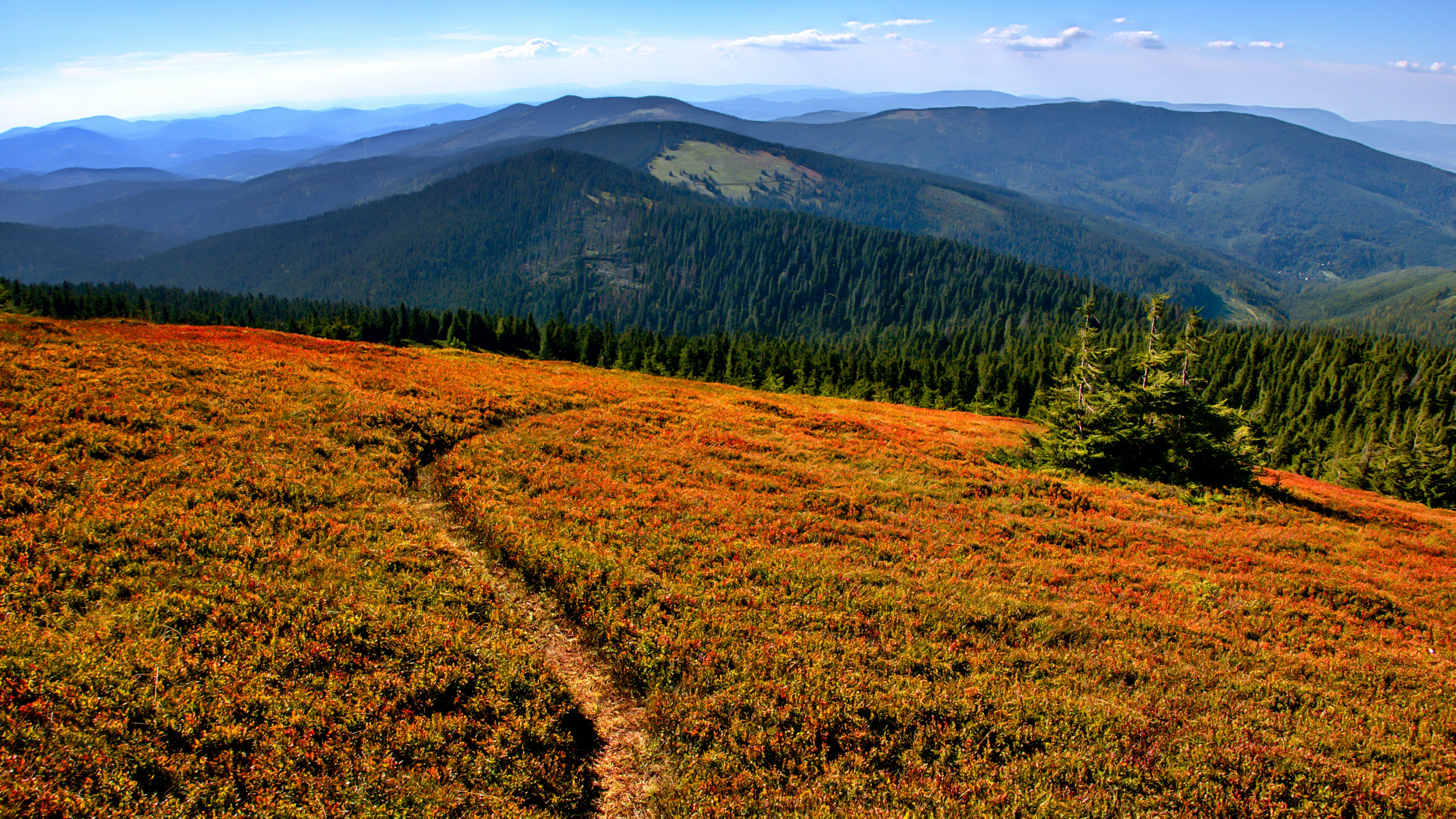 Wilderness, Mountain, Plant, Plant Community, Natural Environment. Wallpaper in 3840x2160 Resolution