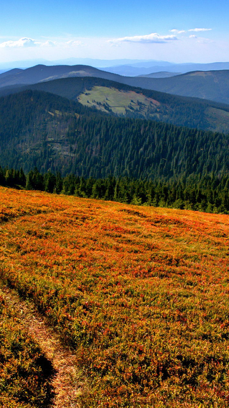 Wilderness, Mountain, Plant, Plant Community, Natural Environment. Wallpaper in 750x1334 Resolution