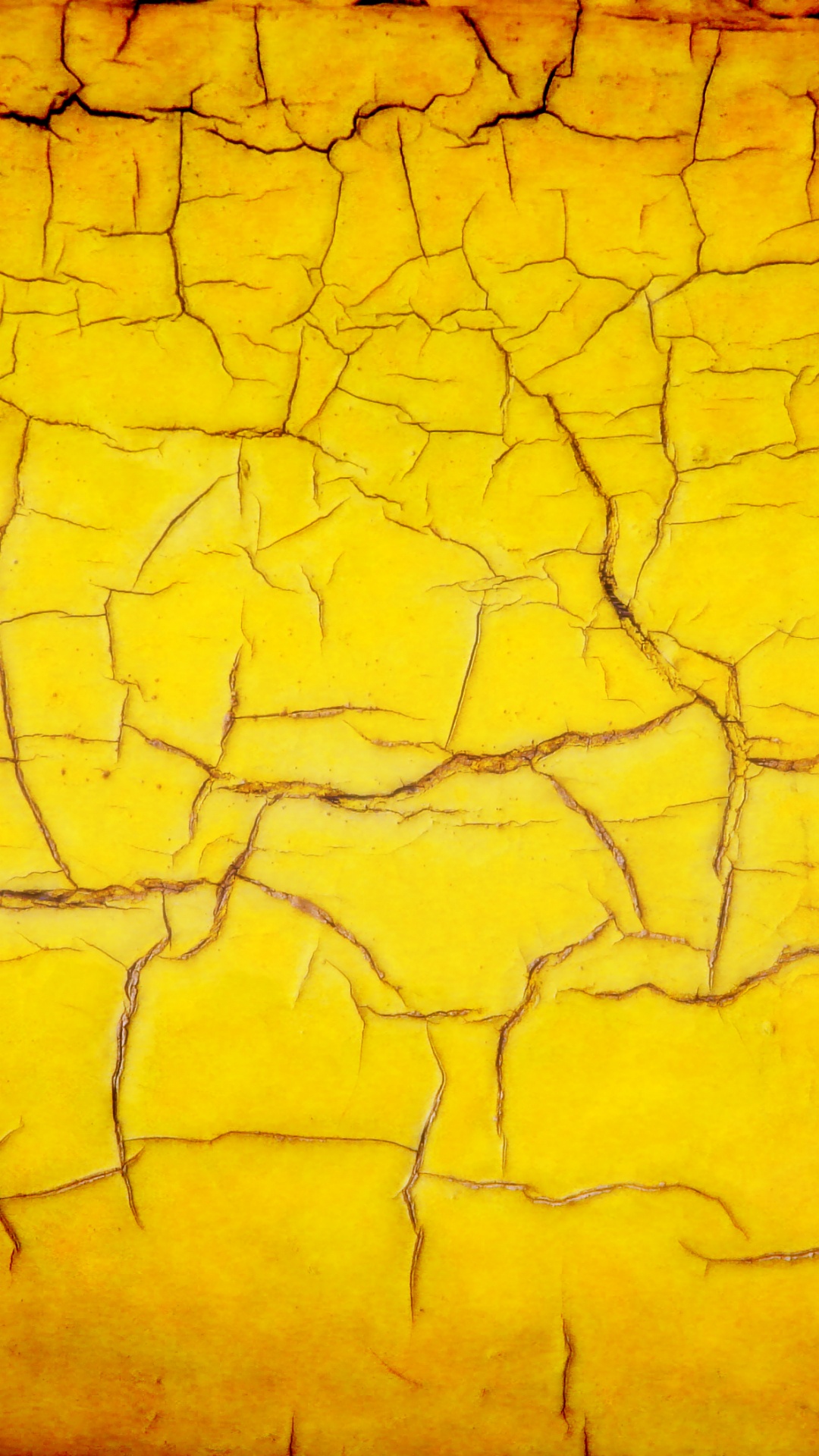 黄色的, 橙色, 颜色, 绿色的, 黑色的 壁纸 1080x1920 允许