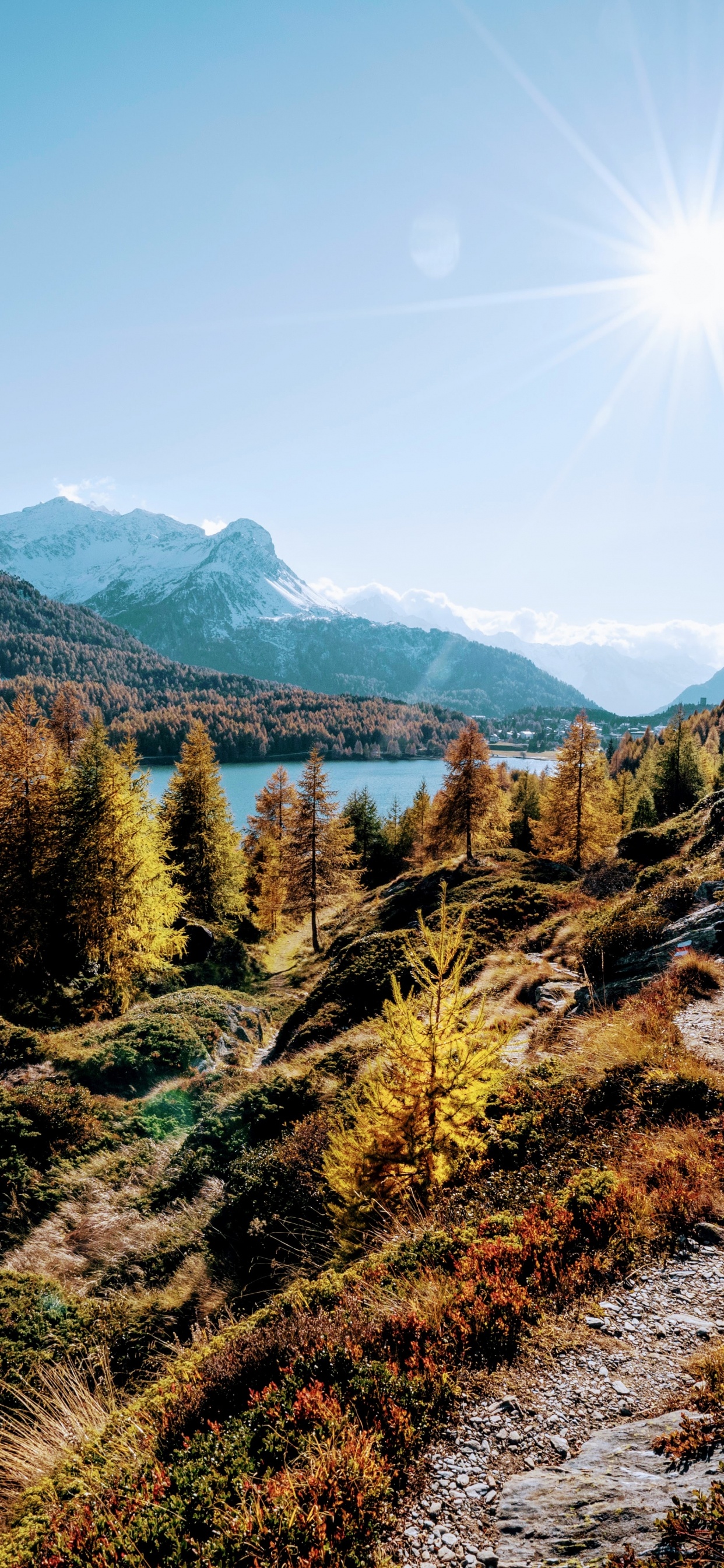 Natur, Danke Für Den Urlaub, Ökoregion, Naturlandschaft, Blatt. Wallpaper in 1242x2688 Resolution