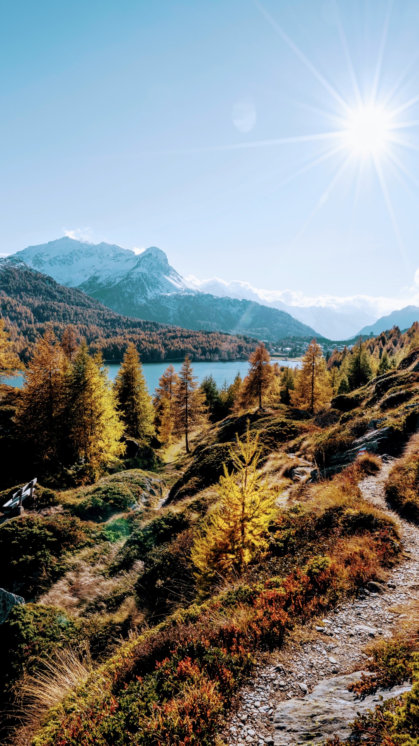 Nature, Merci Pour Les Vacances, L'écorégion, Paysage Naturel, Feuille. Wallpaper in 1440x2560 Resolution