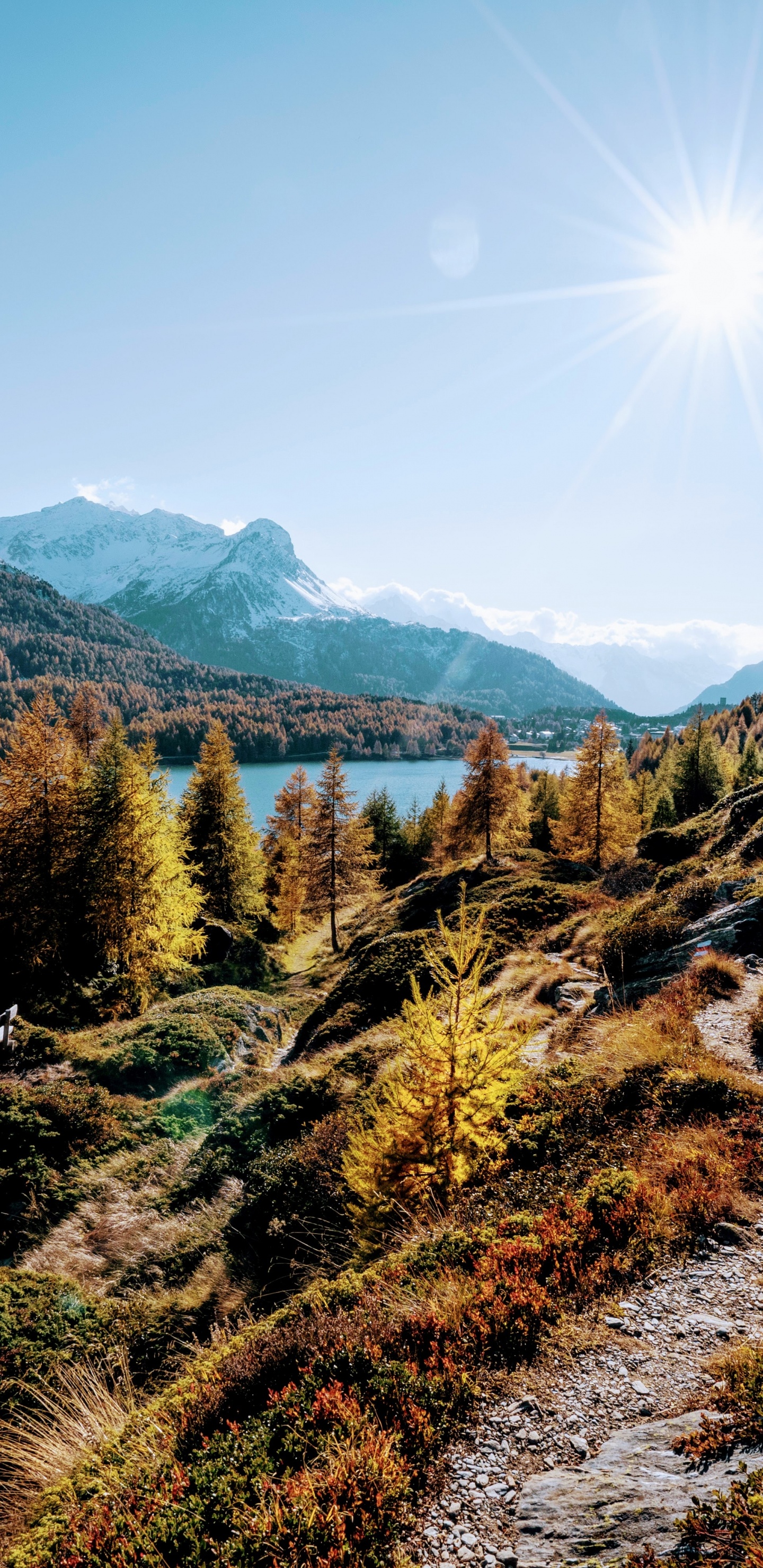 Nature, pn k Svtku, Plant, Mountain, Ecoregion. Wallpaper in 1440x2960 Resolution