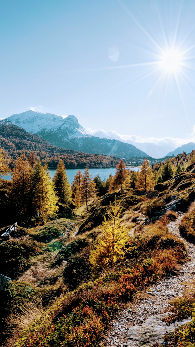 Nature, pn k Svtku, Plant, Mountain, Ecoregion. Wallpaper in 750x1334 Resolution