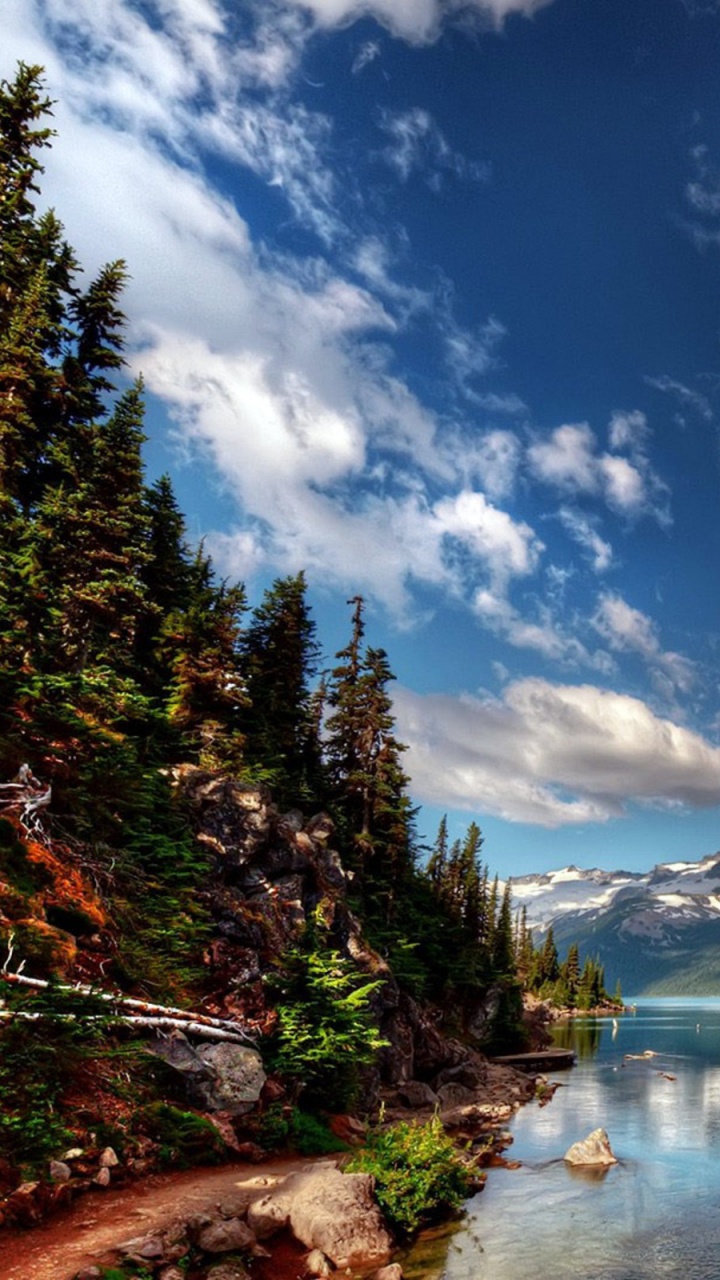 Grüne Bäume in Der Nähe Des Sees Unter Blauem Himmel Und Weißen Wolken Tagsüber. Wallpaper in 720x1280 Resolution