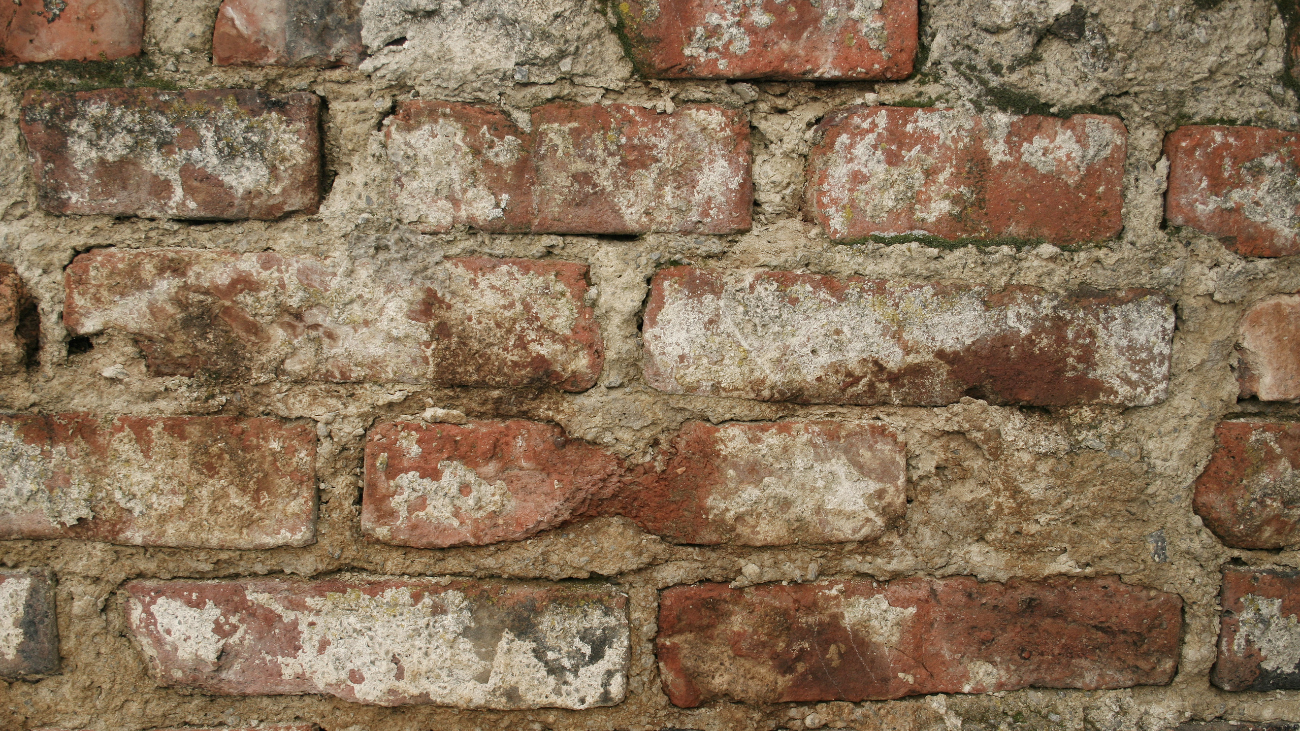 Brown and Gray Brick Wall. Wallpaper in 2560x1440 Resolution