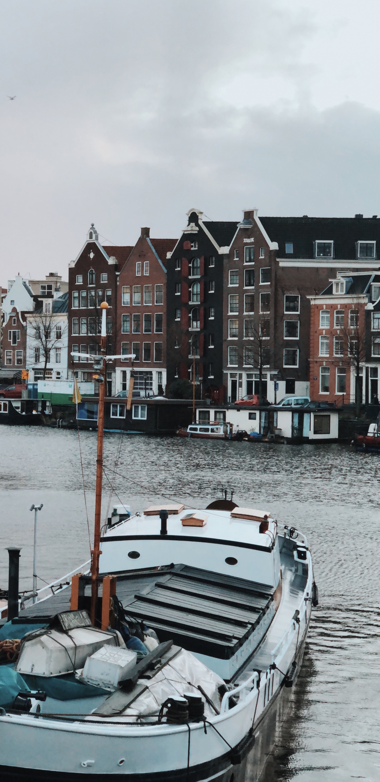 Water, Boat, Water Transportation, Boating, Body of Water. Wallpaper in 1440x2960 Resolution