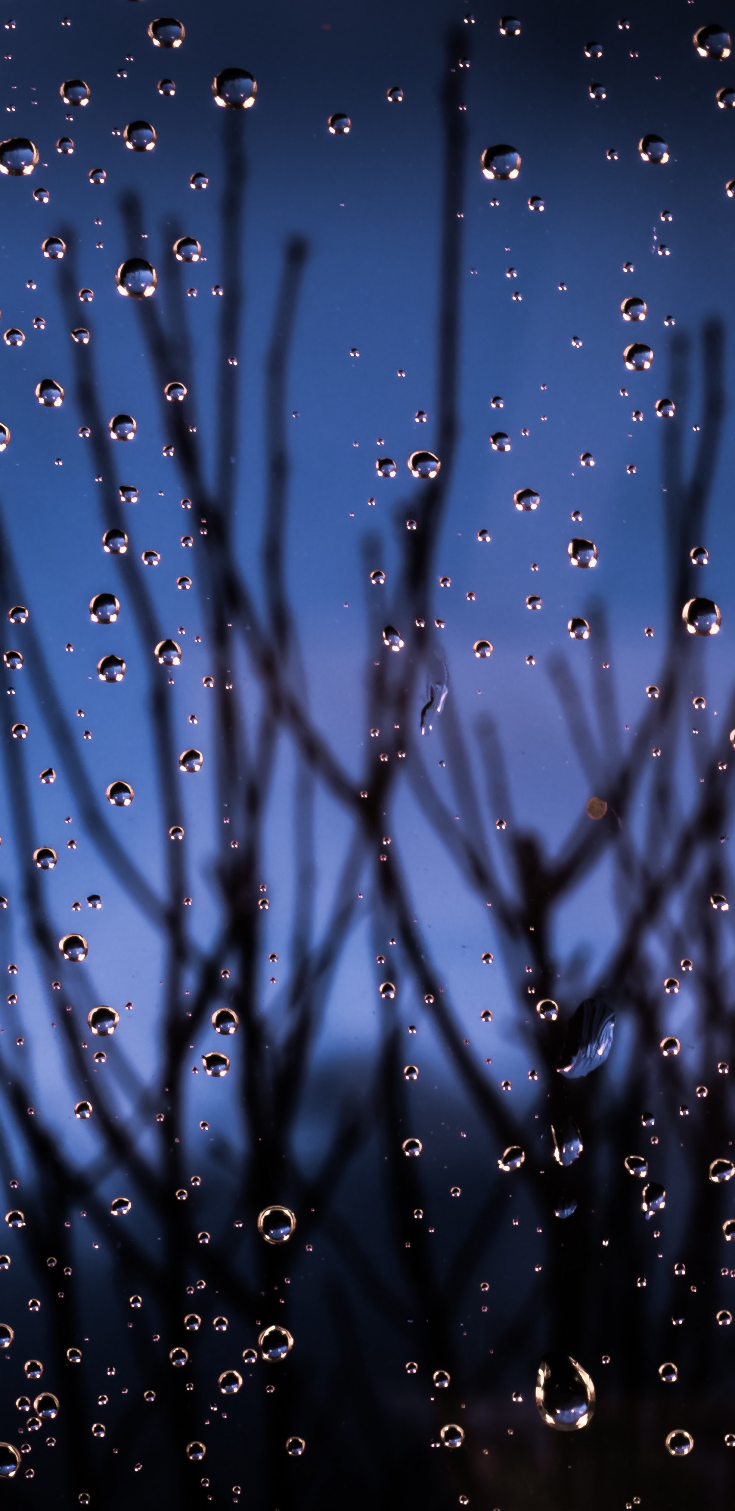 Azul, Agua, Humedad, Lluvia, Ambiente. Wallpaper in 1440x2960 Resolution