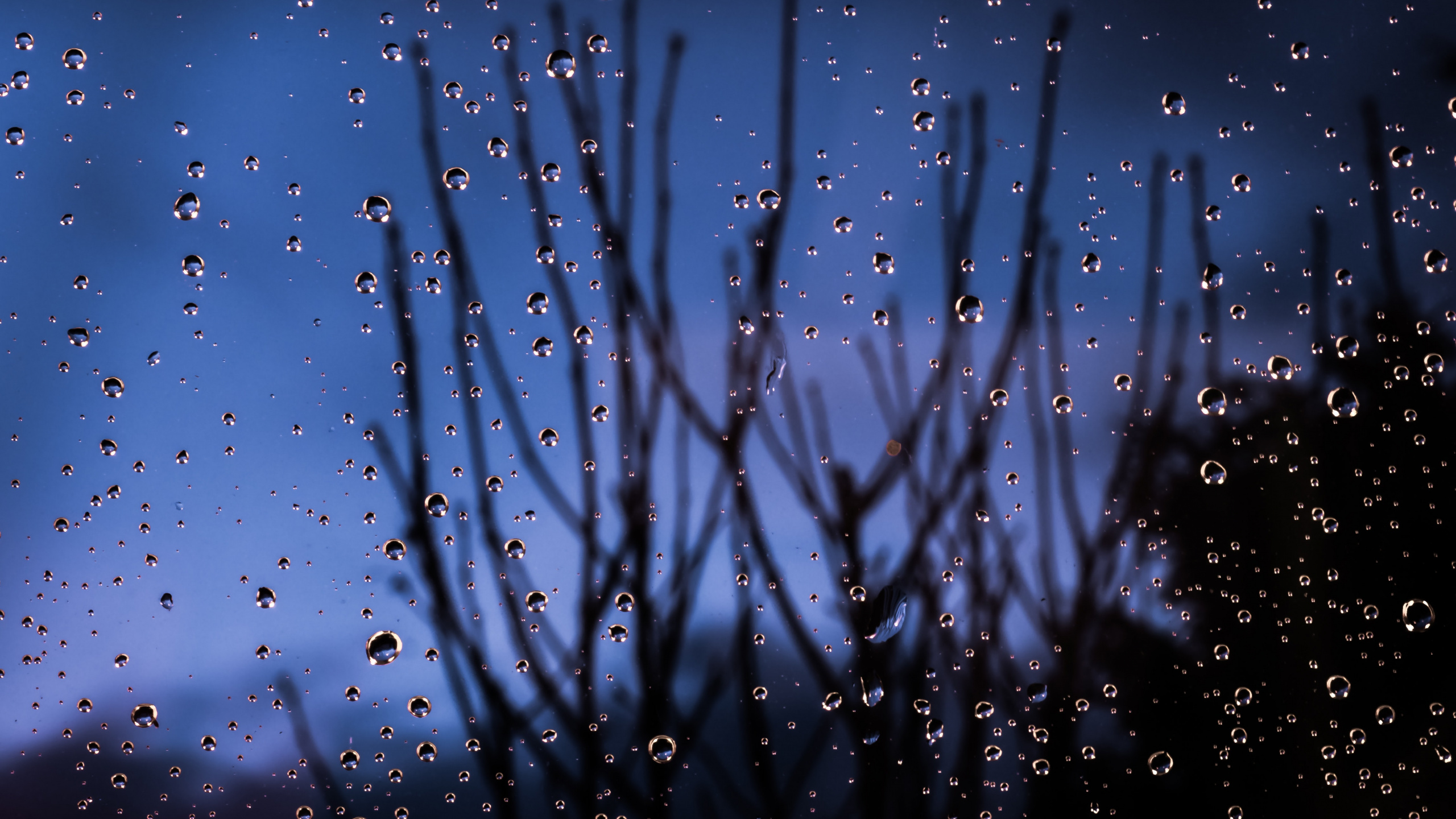 Azul, Agua, Humedad, Lluvia, Ambiente. Wallpaper in 2560x1440 Resolution