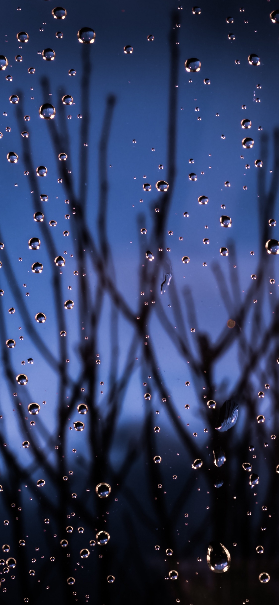 Blau, Wasser, Feuchtigkeit, Regen, Tropfen. Wallpaper in 1125x2436 Resolution