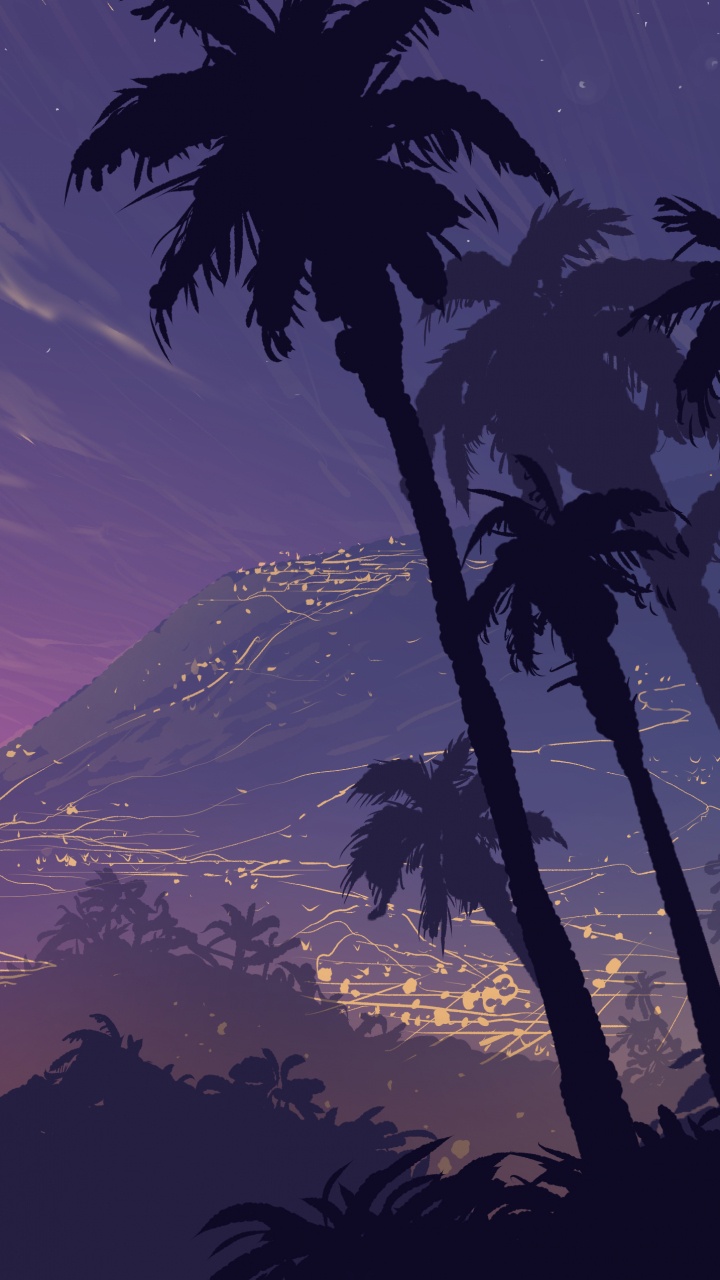 Silhouette of Palm Tree During Sunset. Wallpaper in 720x1280 Resolution