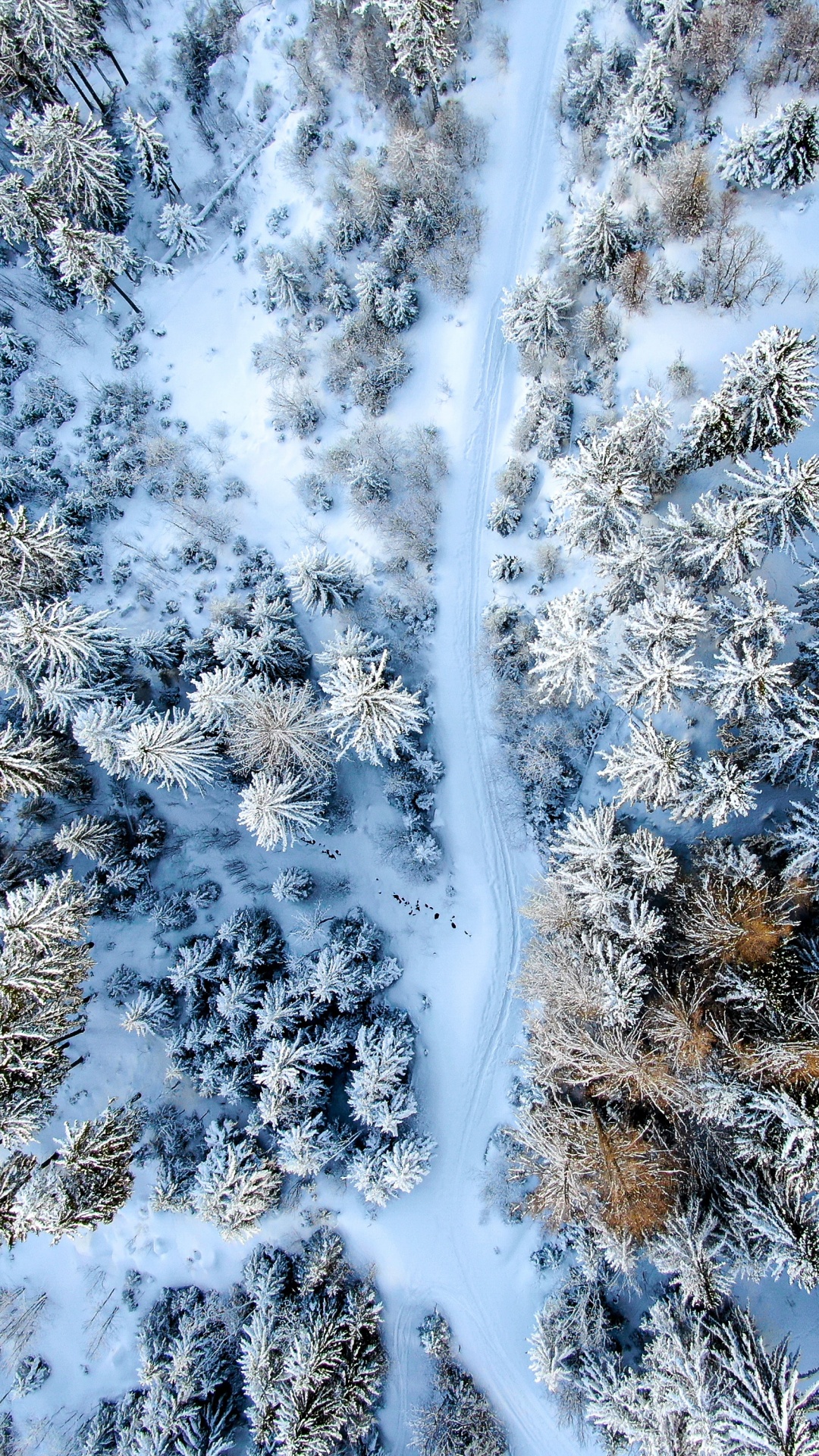 Agua, Nieve, Ramita, Congelación, Paisaje Natural. Wallpaper in 1080x1920 Resolution