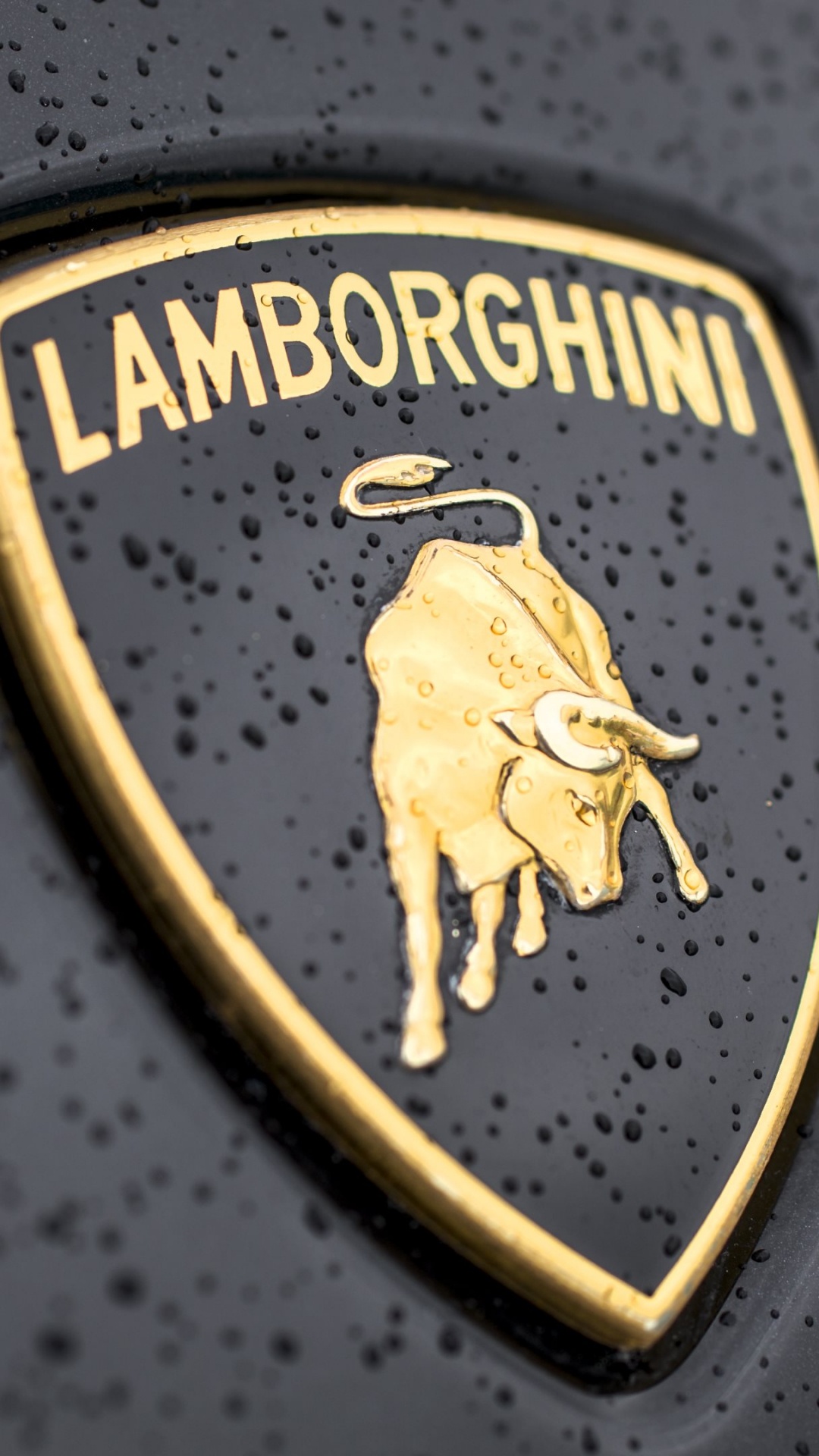 Lamborghini, Logo, Emblème, Voiture de Sport, Jaune. Wallpaper in 1080x1920 Resolution