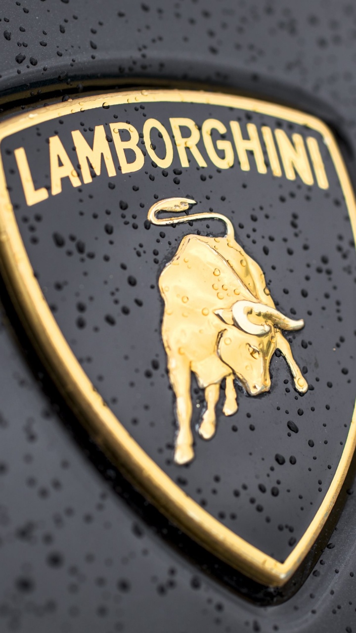 Lamborghini, Logo, Emblème, Voiture de Sport, Jaune. Wallpaper in 720x1280 Resolution