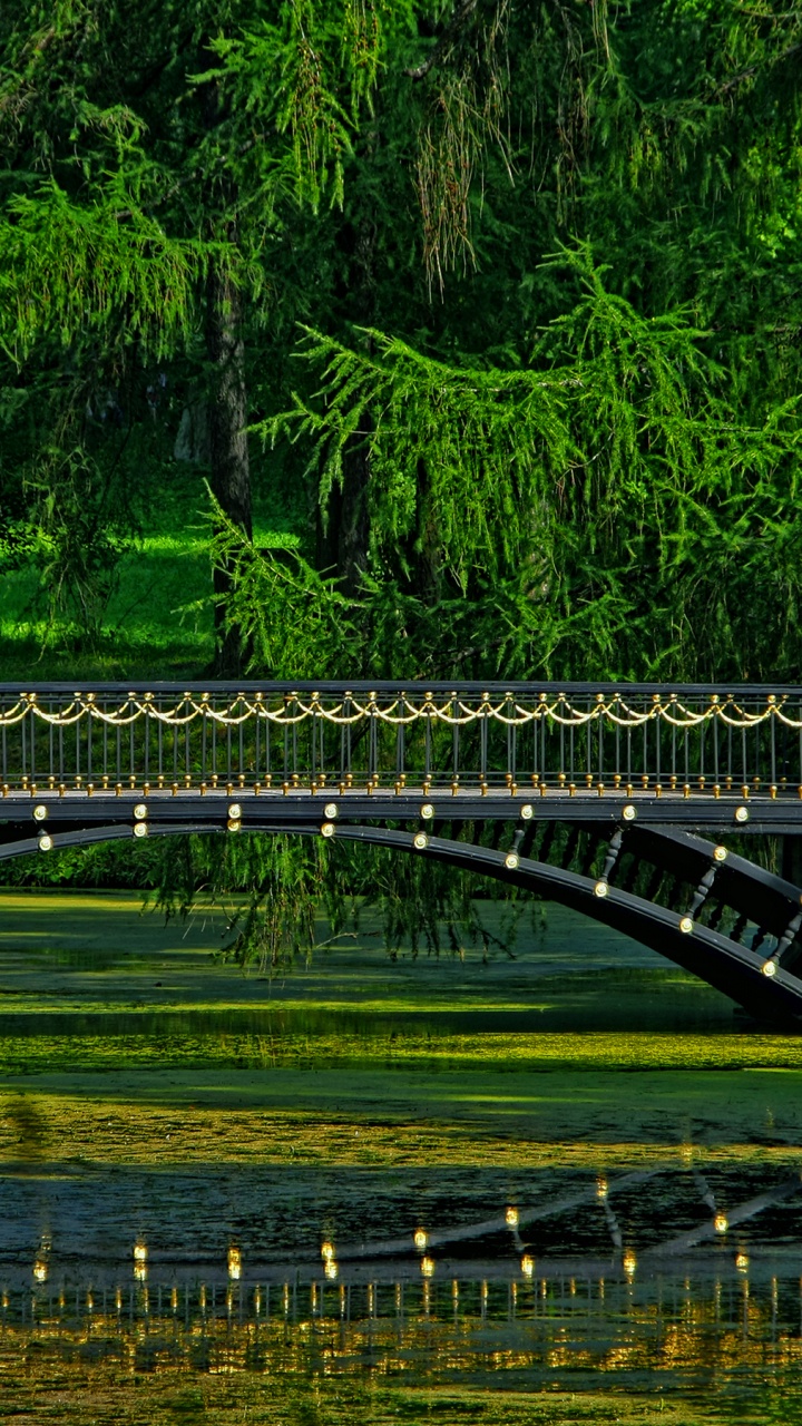Puente de Hormigón Gris Sobre el Río. Wallpaper in 720x1280 Resolution