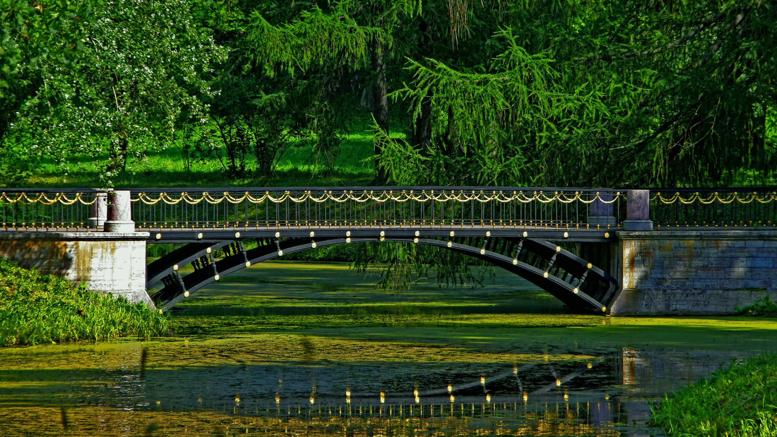 Gray Concrete Bridge Over River. Wallpaper in 2560x1440 Resolution