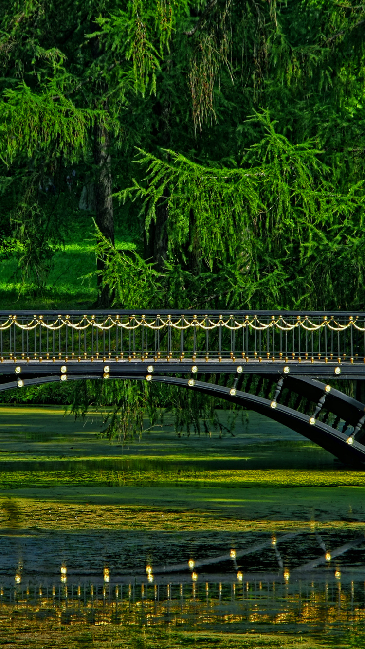 Graue Betonbrücke Über Den Fluss. Wallpaper in 750x1334 Resolution