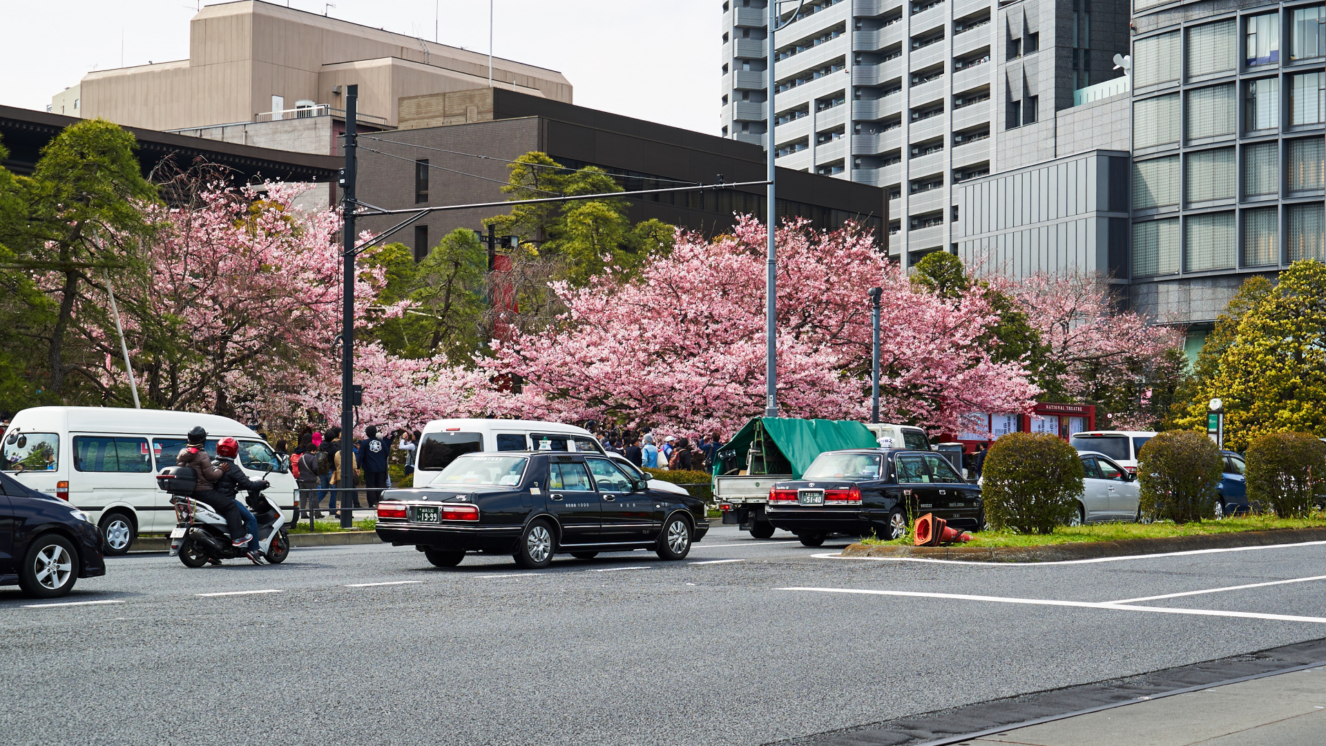 街区, 木本植物, 家庭用车, 街, 小型汽车 壁纸 1920x1080 允许