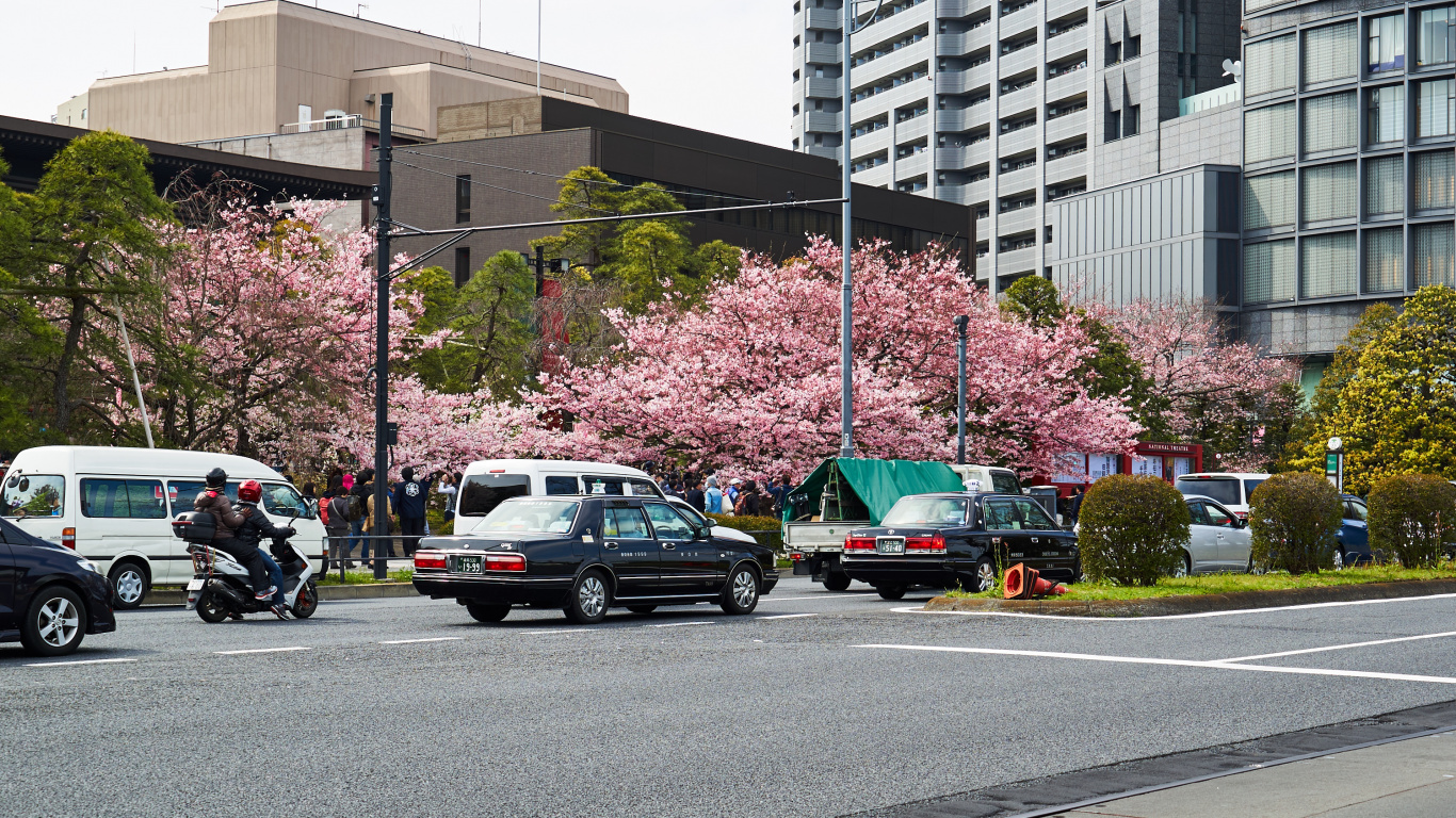 Cars Parked on Parking Lot Near Building During Daytime. Wallpaper in 1366x768 Resolution