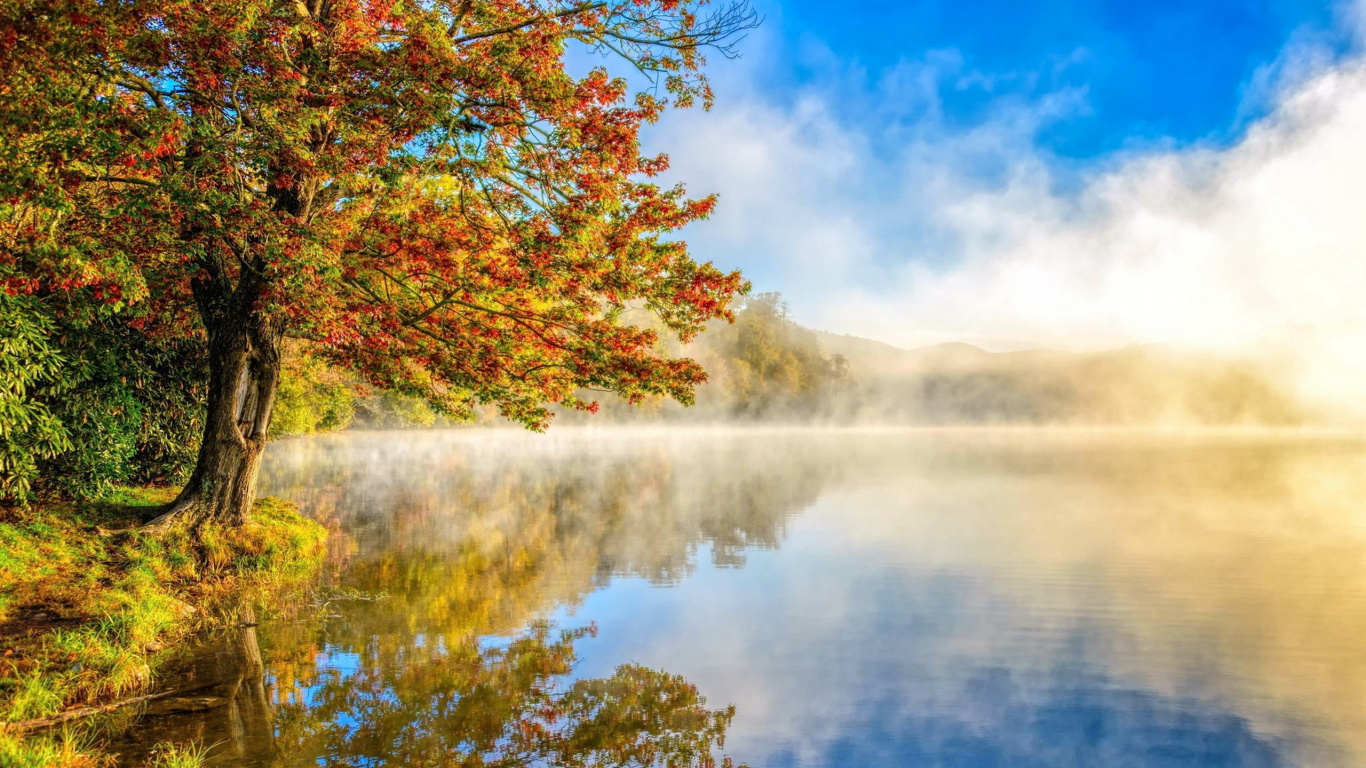 Yellow and Green Trees Beside Lake Under Blue Sky During Daytime. Wallpaper in 1366x768 Resolution