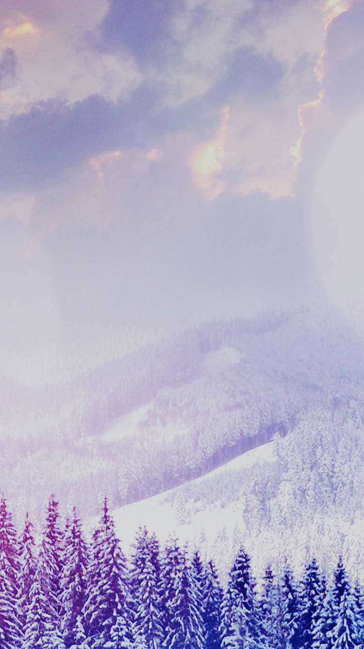 Cloud, Atmosphere, Blue, Natural Landscape, Plant. Wallpaper in 750x1334 Resolution