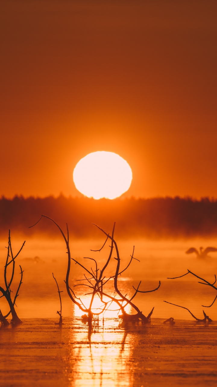 IMac, Water, Atmosphere, Ecoregion, Afterglow. Wallpaper in 720x1280 Resolution