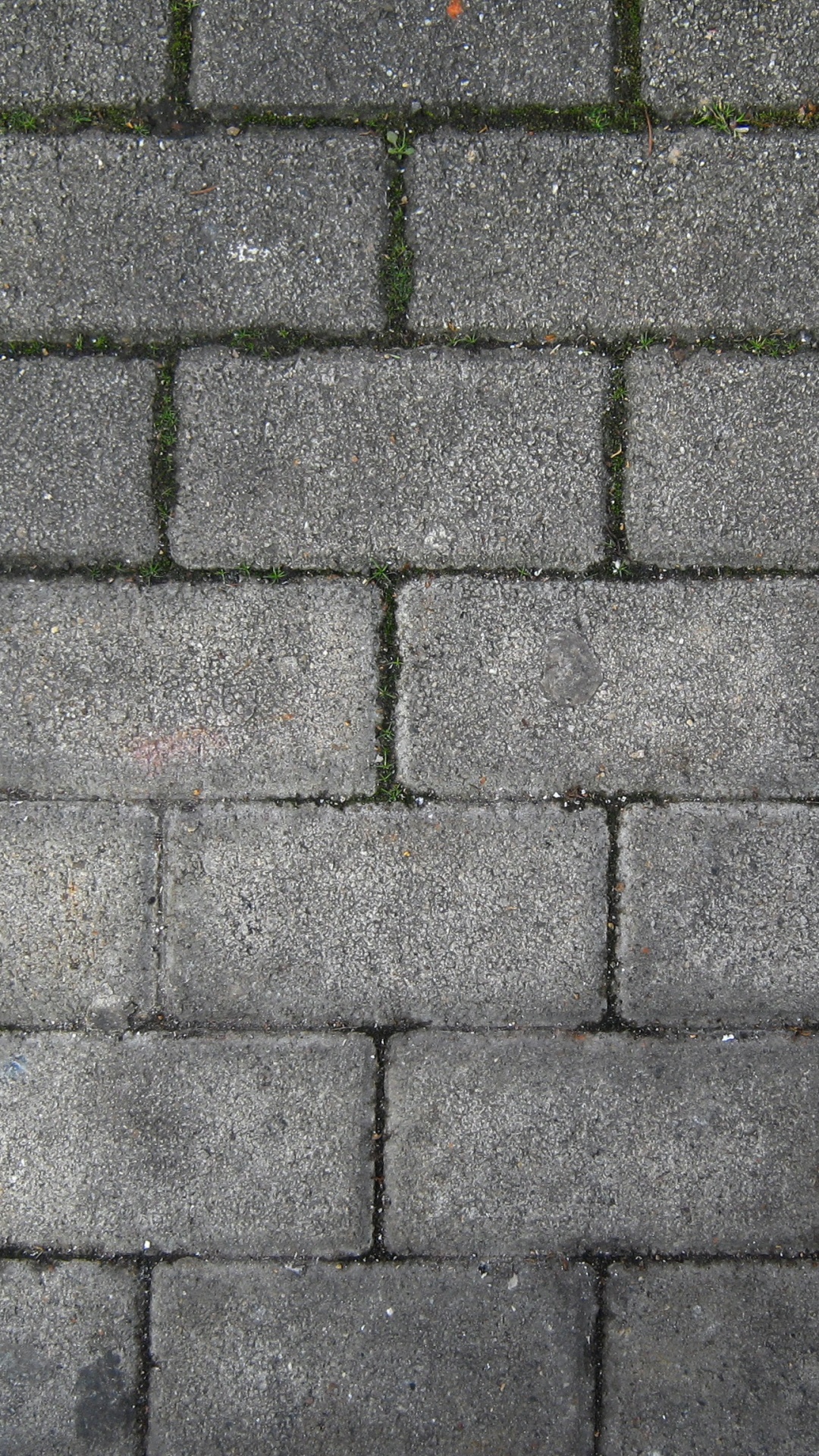 Pavé de Briques Grises et Brunes. Wallpaper in 1080x1920 Resolution