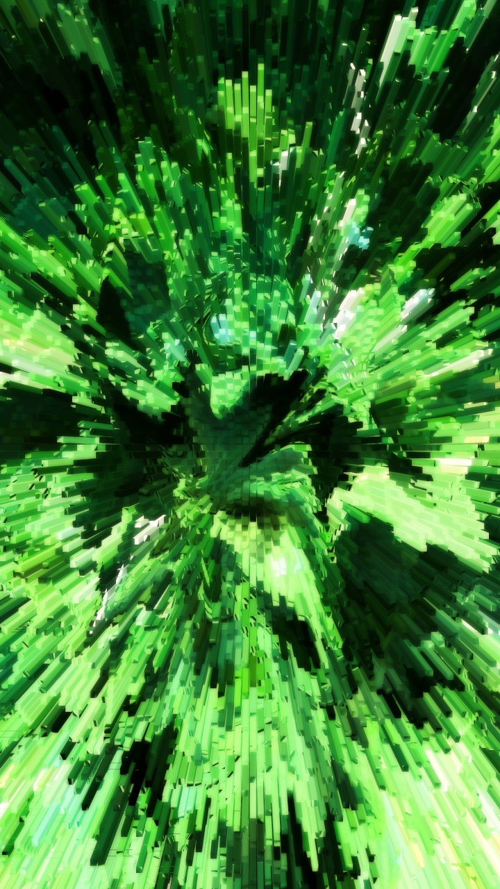 Green Pine Tree in Close up Photography. Wallpaper in 720x1280 Resolution