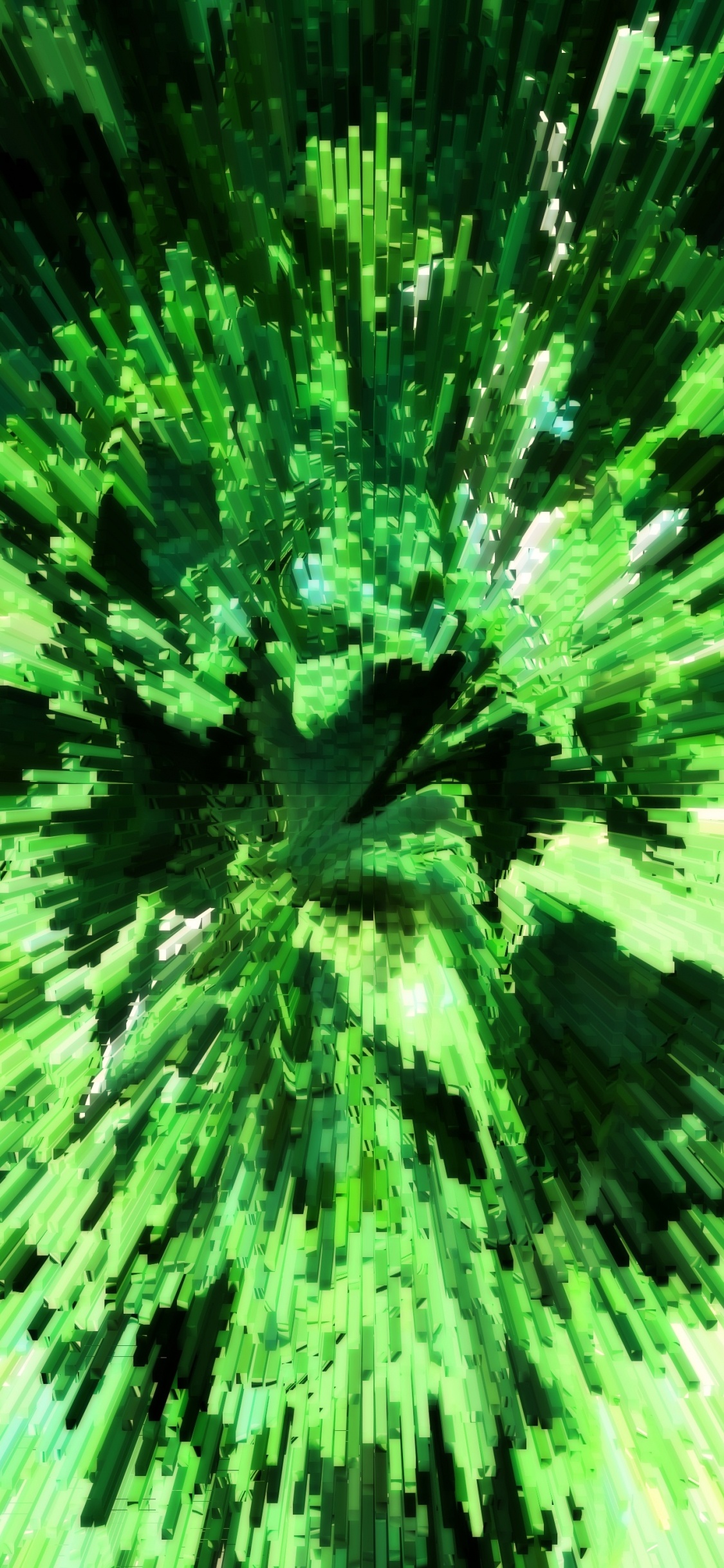 绿色的, 性质, 陆地上的植物, 草, 抽象艺术 壁纸 1125x2436 允许