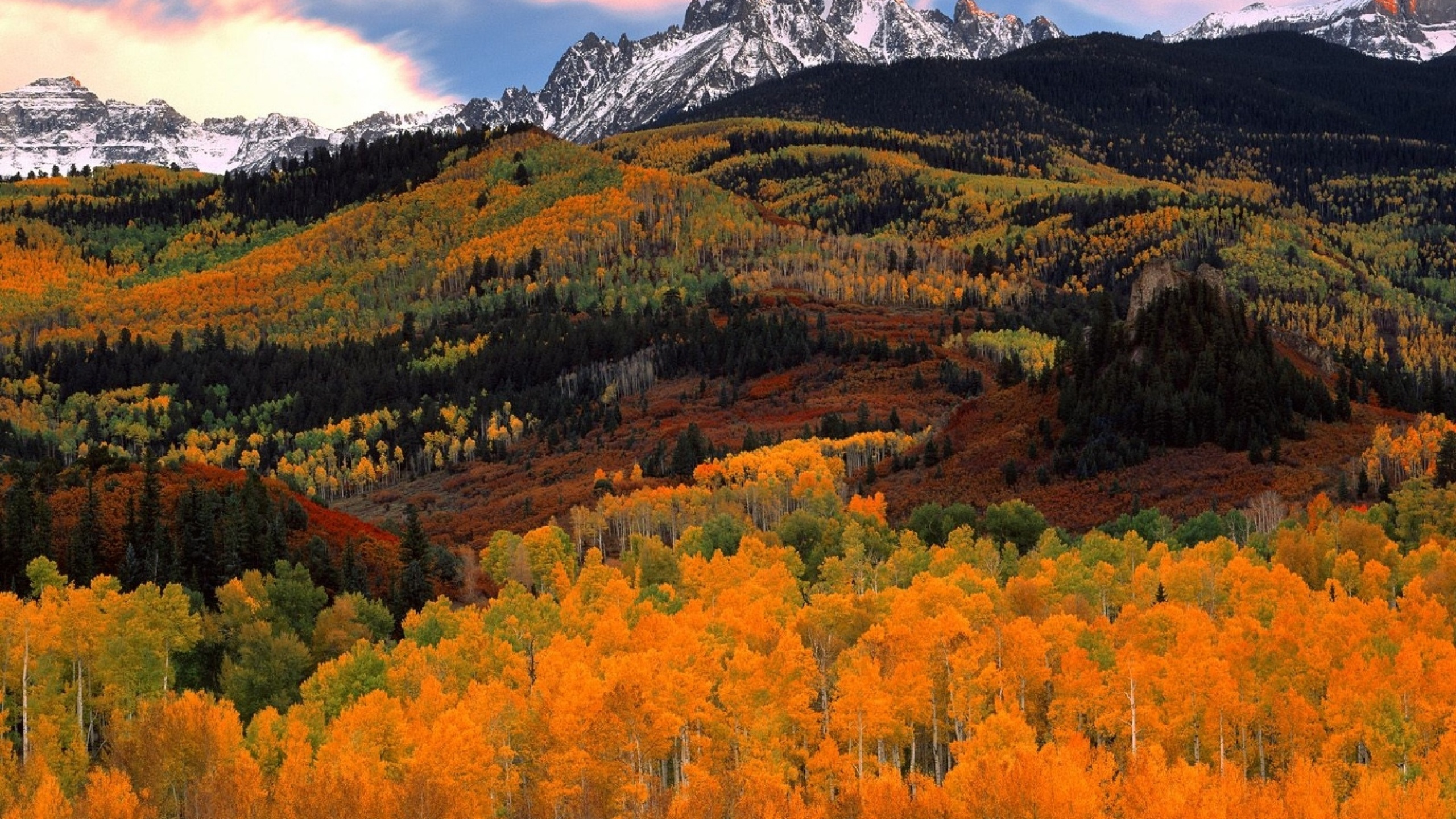 Yellow and Green Trees Near Mountain Under White Clouds During Daytime. Wallpaper in 2560x1440 Resolution