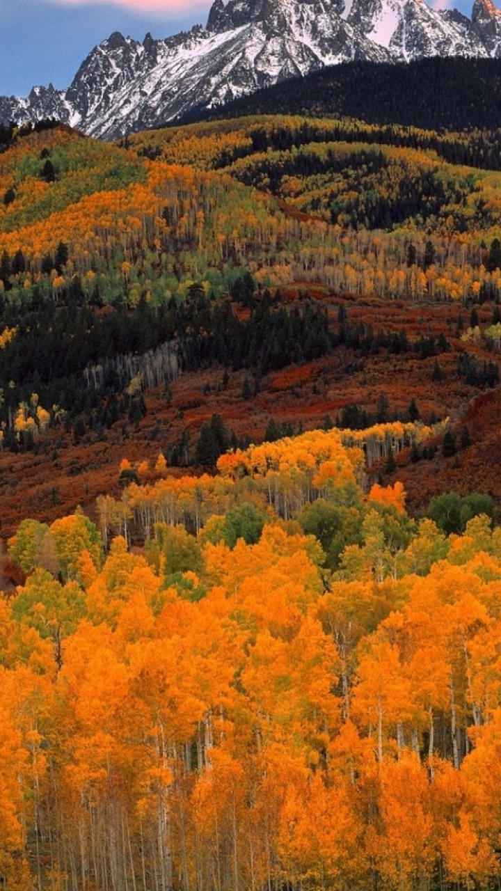Yellow and Green Trees Near Mountain Under White Clouds During Daytime. Wallpaper in 720x1280 Resolution