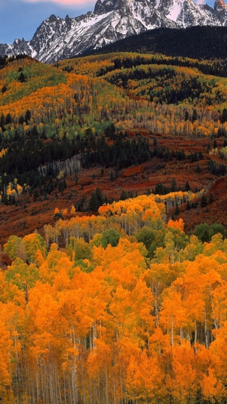 Yellow and Green Trees Near Mountain Under White Clouds During Daytime. Wallpaper in 750x1334 Resolution