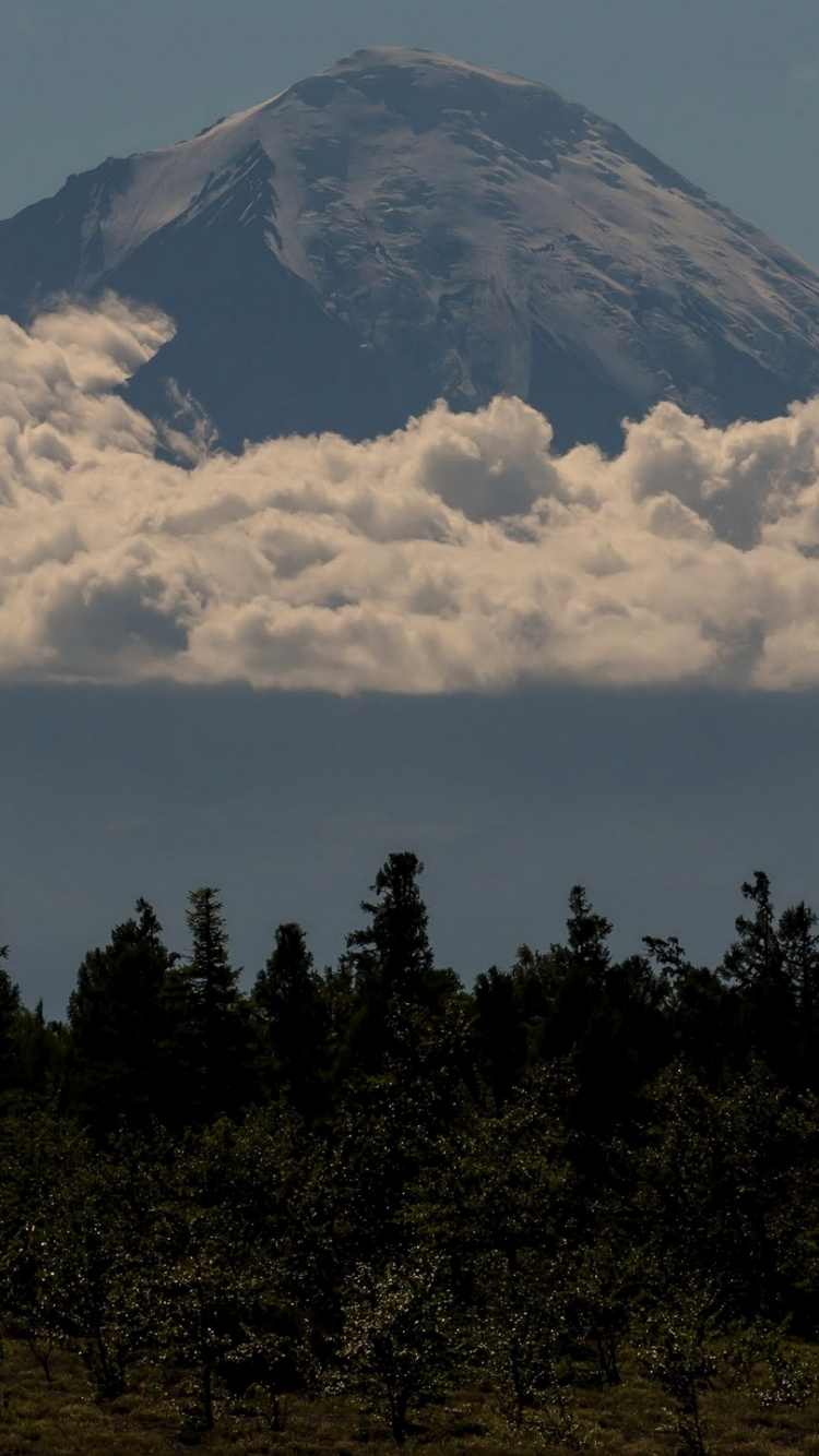 Green Trees Near Mountain Under White Clouds During Daytime. Wallpaper in 750x1334 Resolution