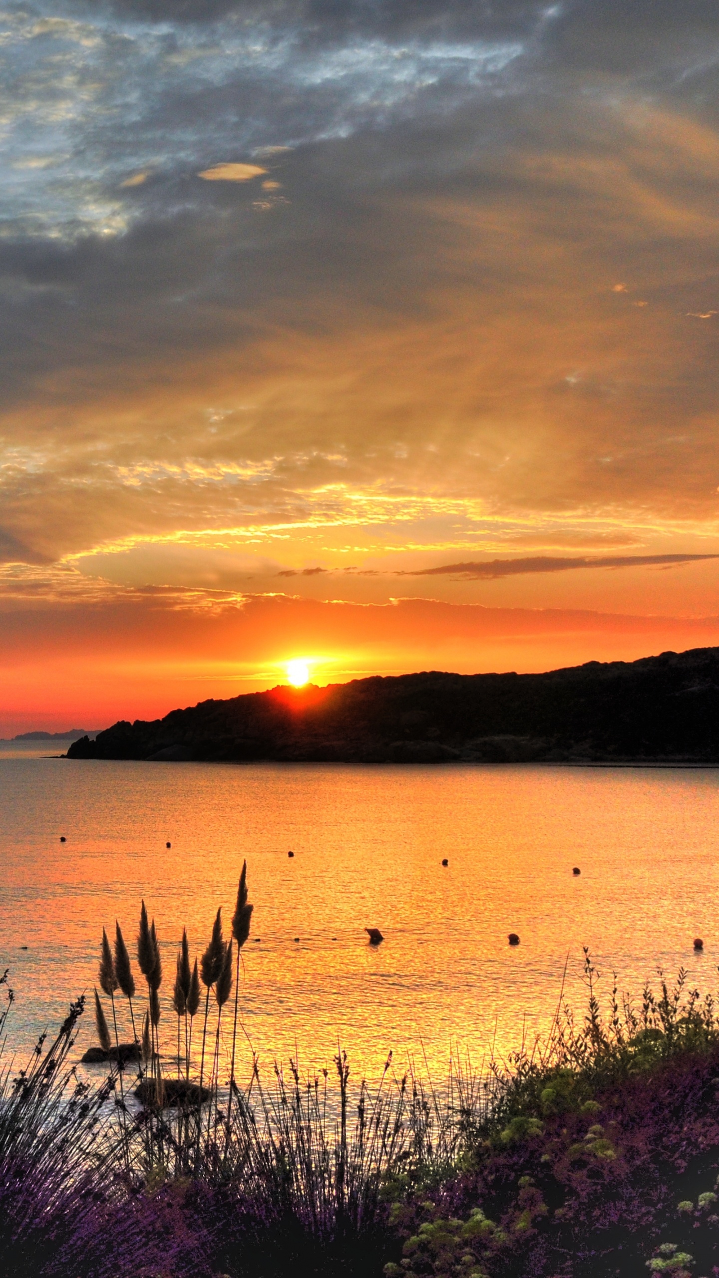 Silhouette Des Bootes Auf Dem Meer Bei Sonnenuntergang. Wallpaper in 1440x2560 Resolution