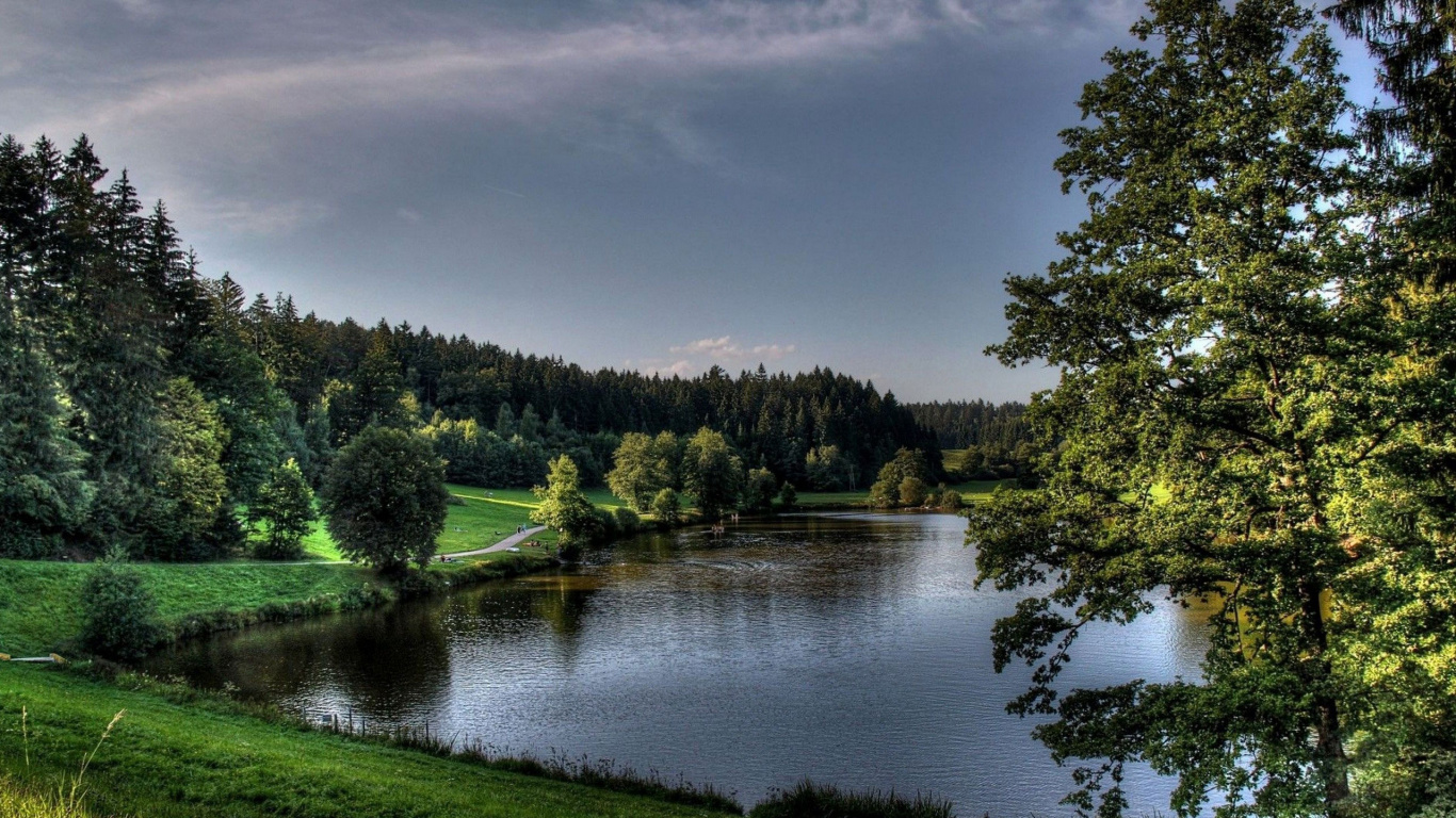 Árboles Verdes Junto al Río Bajo un Cielo Nublado Durante el Día. Wallpaper in 1366x768 Resolution