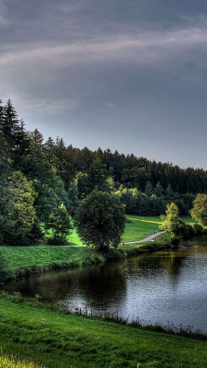 Grüne Bäume Neben Dem Fluss Unter Bewölktem Himmel Tagsüber. Wallpaper in 720x1280 Resolution