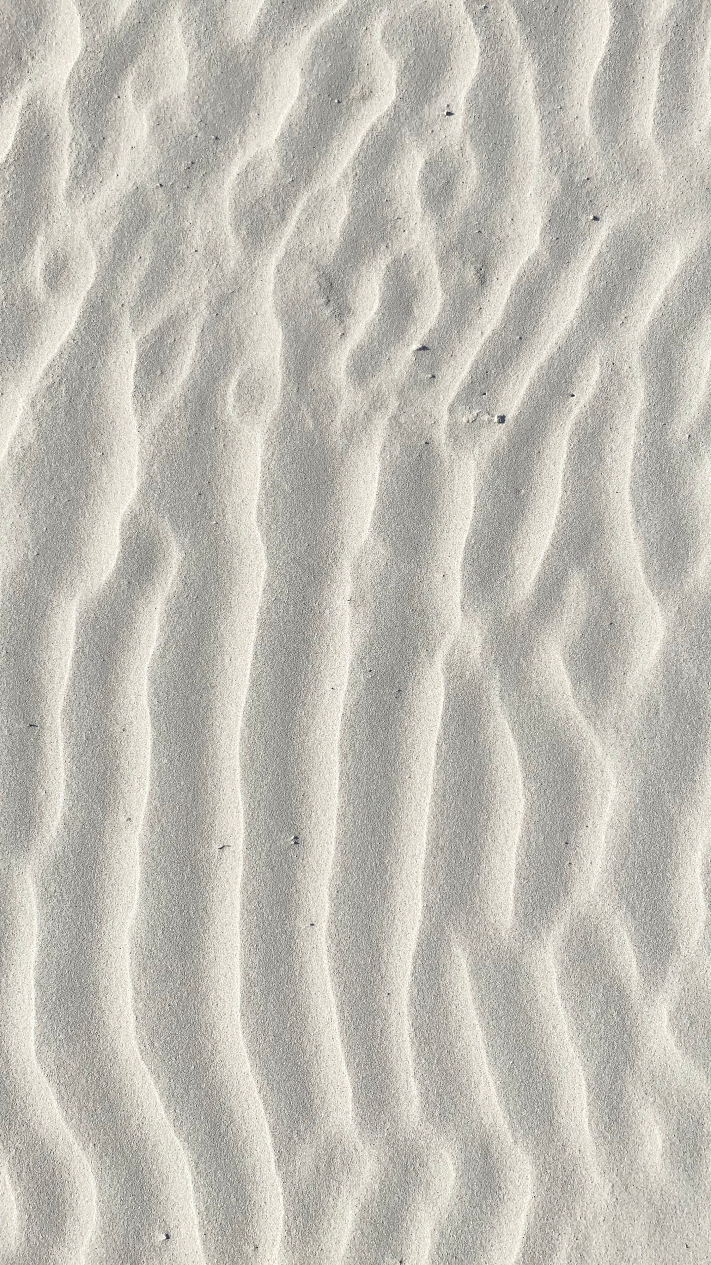 Brown Sand With Footprints During Daytime. Wallpaper in 1440x2560 Resolution
