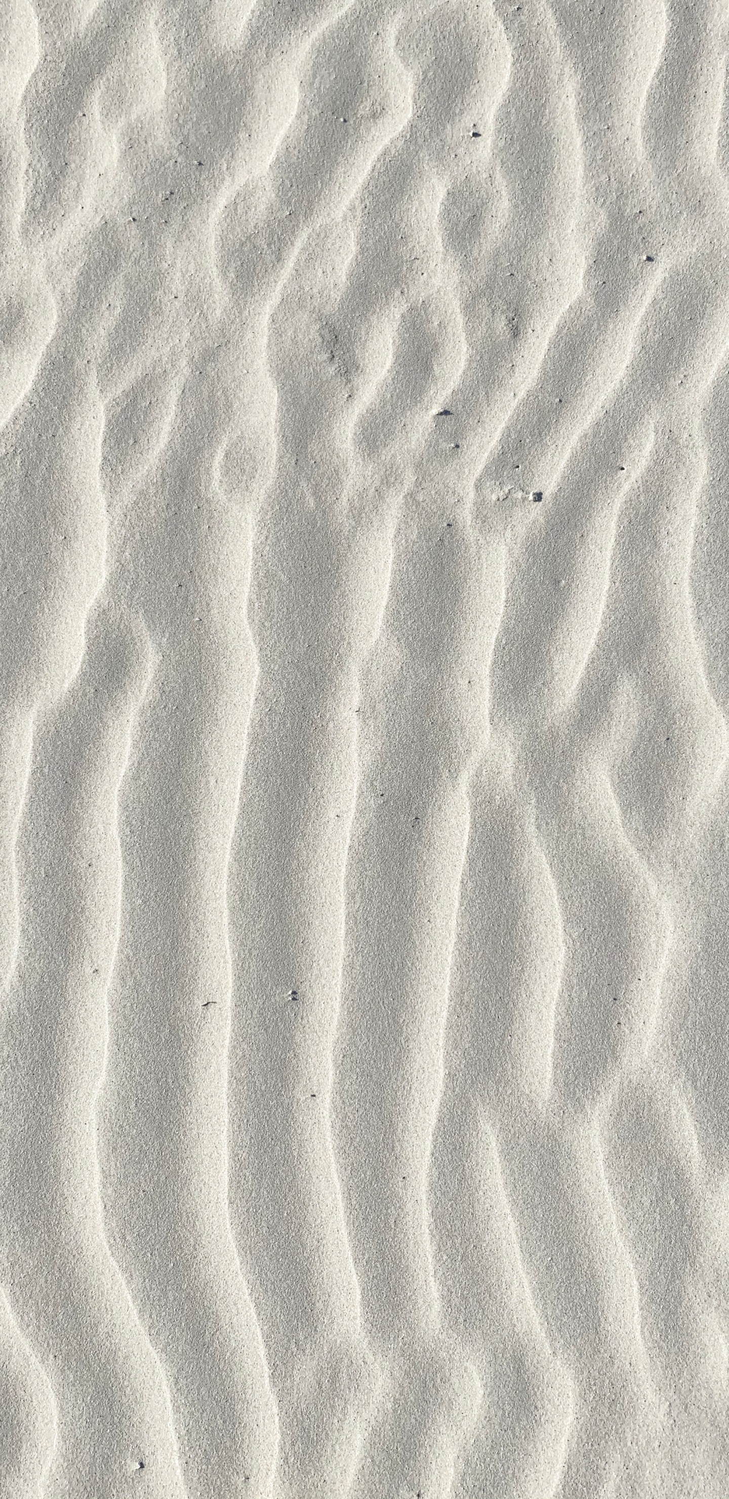 Sable Brun Avec Empreintes de Pas Pendant la Journée. Wallpaper in 1440x2960 Resolution