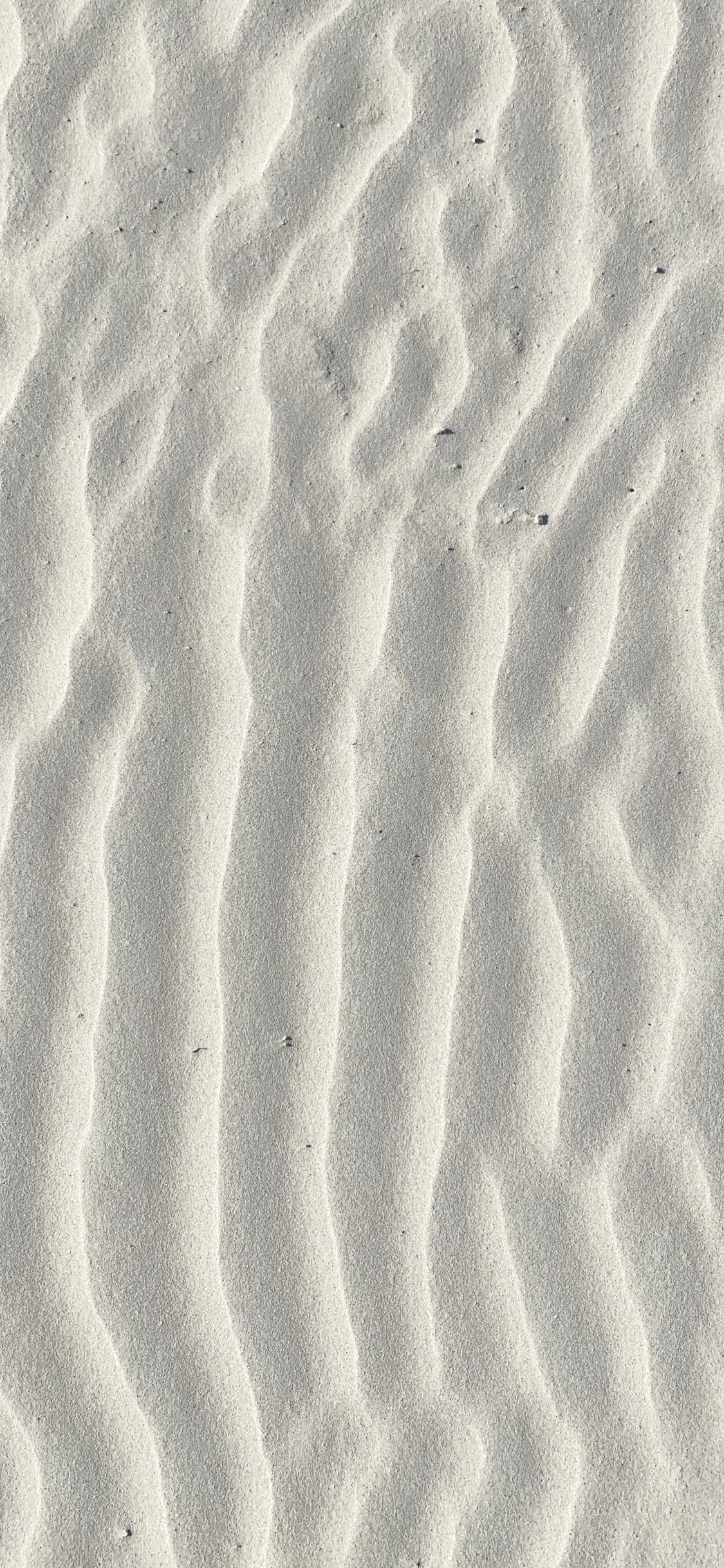 Tagsüber Brauner Sand Mit Fußspuren. Wallpaper in 1125x2436 Resolution
