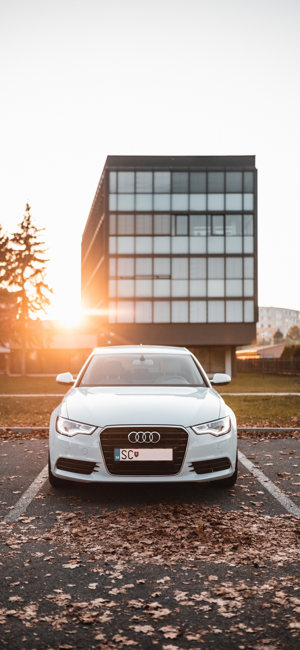 White Audi a 4 Parked on Roadside Near Building During Daytime. Wallpaper in 1242x2688 Resolution