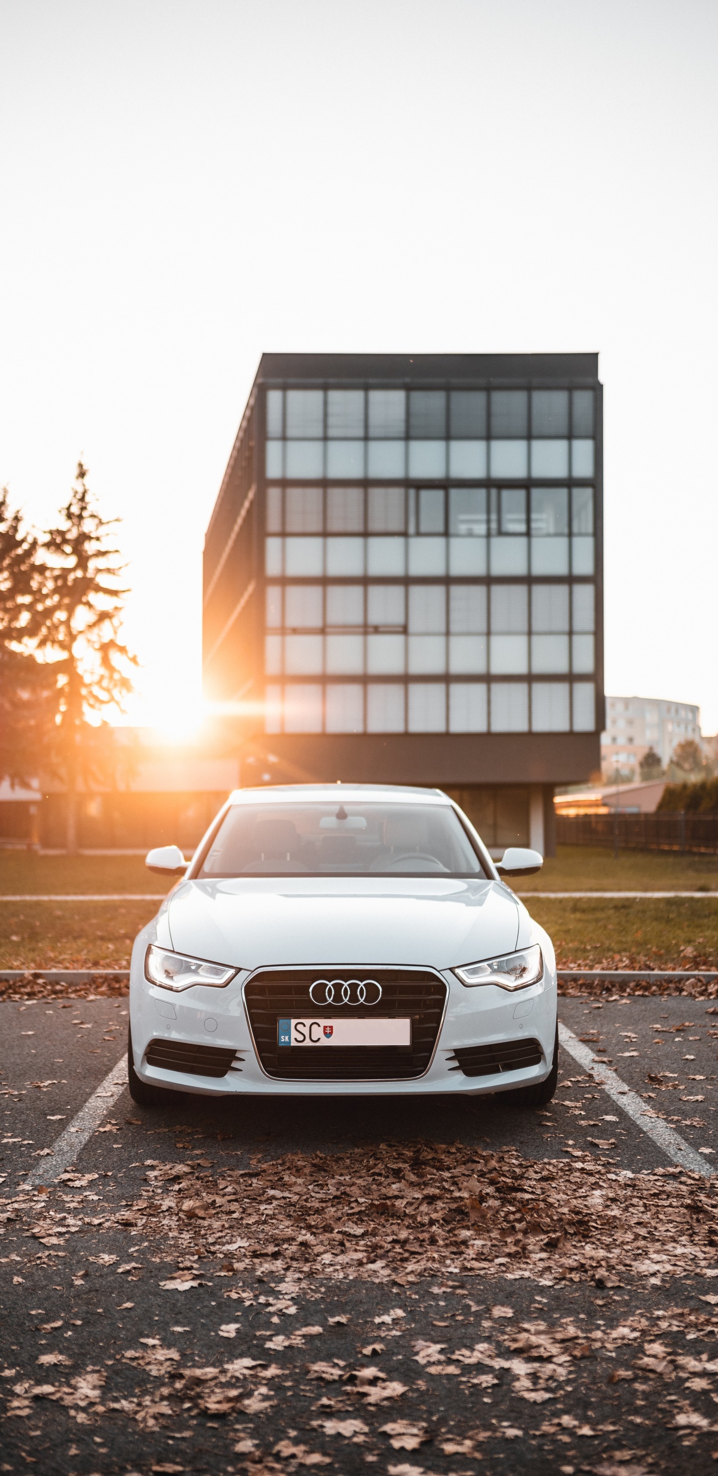 White Audi a 4 Parked on Roadside Near Building During Daytime. Wallpaper in 1440x2960 Resolution