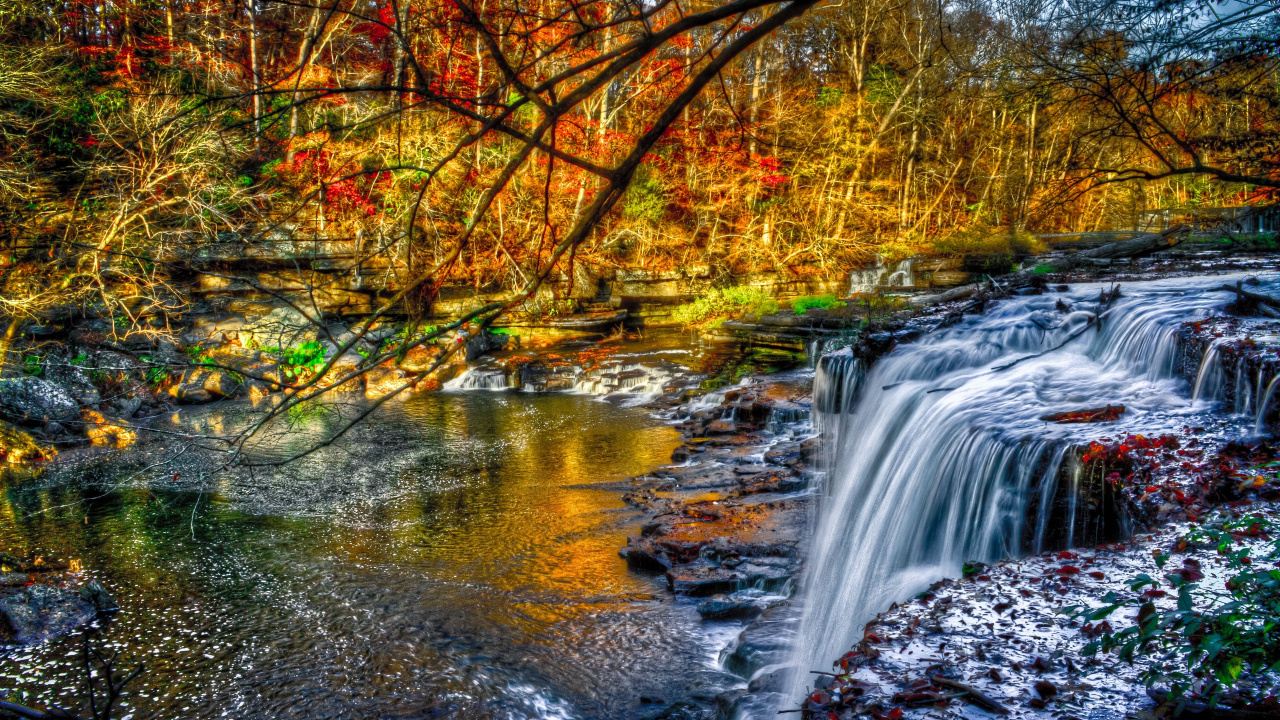 Wasser Fällt Mitten in Den Wald. Wallpaper in 1280x720 Resolution
