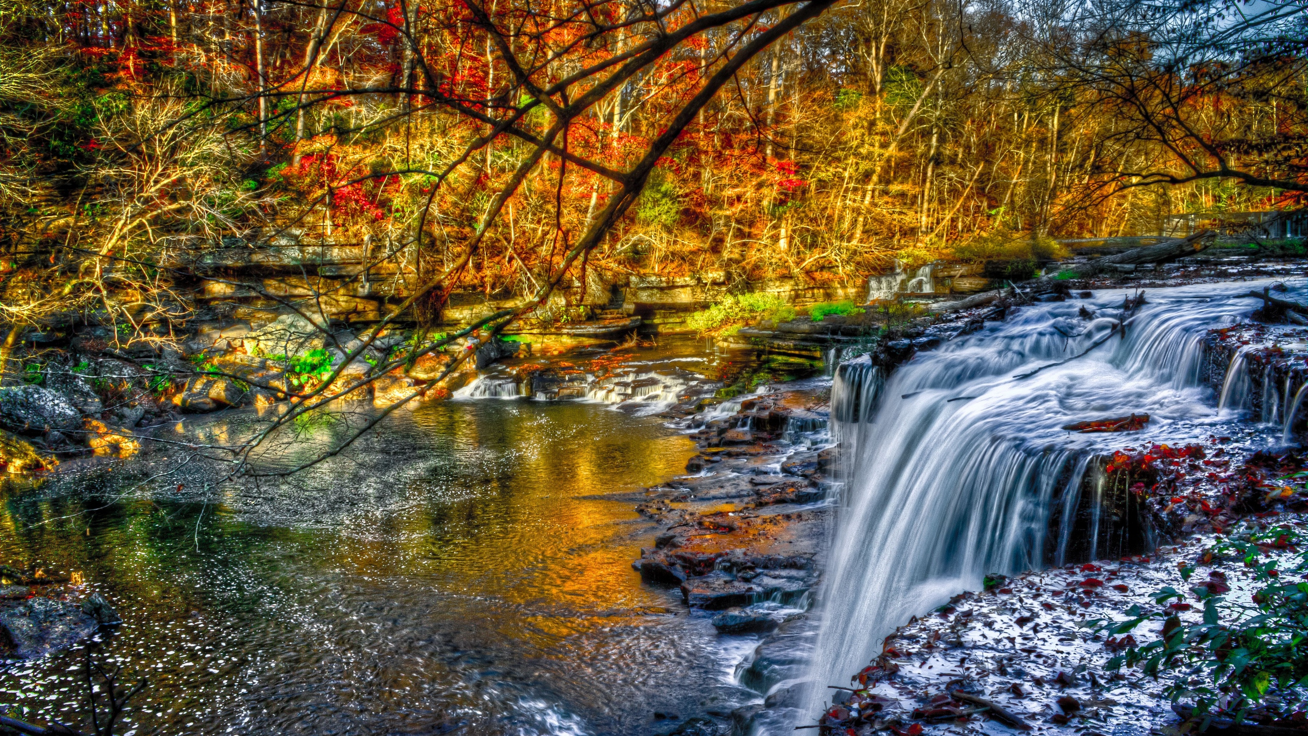 Wasser Fällt Mitten in Den Wald. Wallpaper in 2560x1440 Resolution