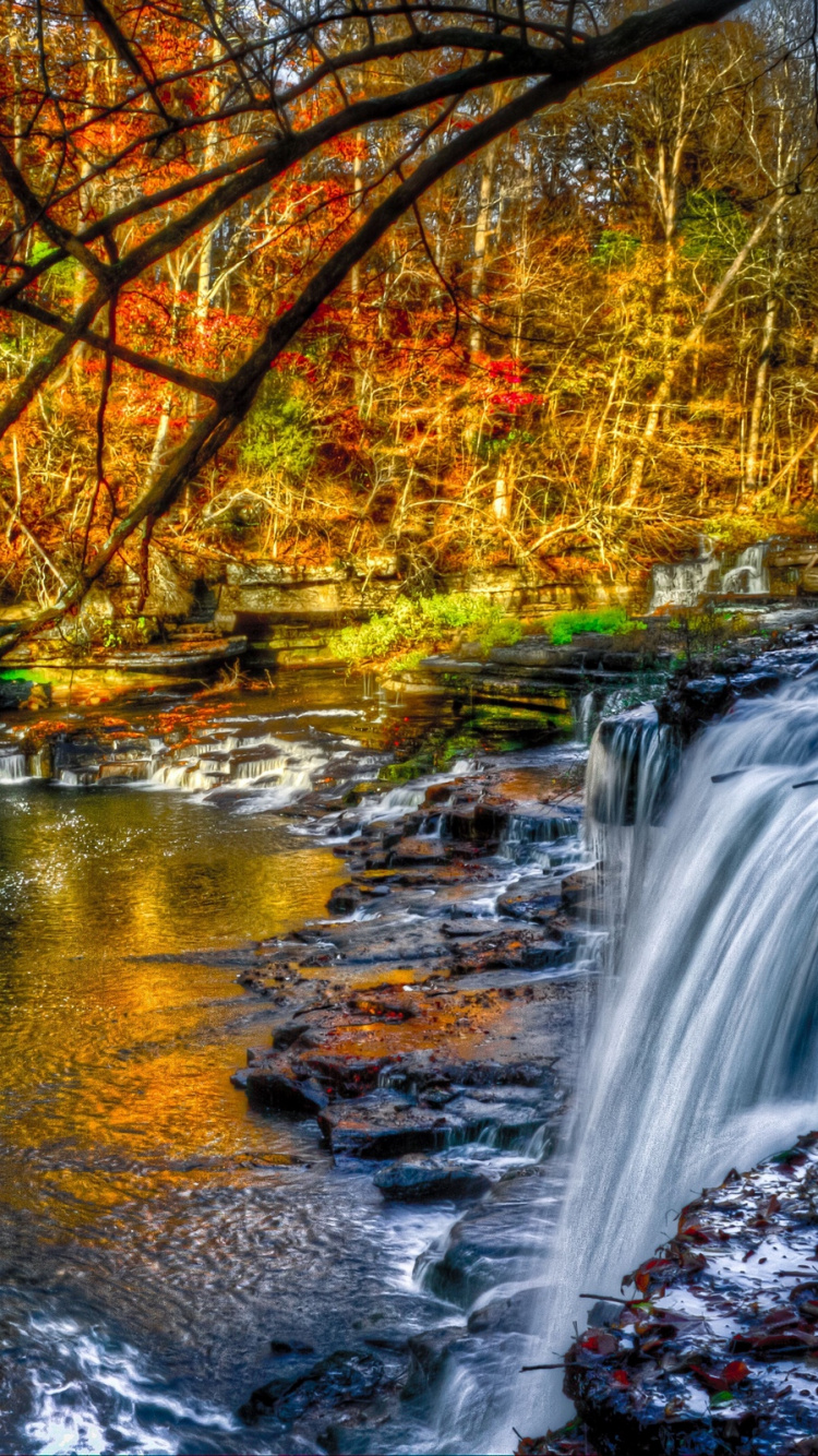 el Agua Cae en Medio Del Bosque. Wallpaper in 750x1334 Resolution