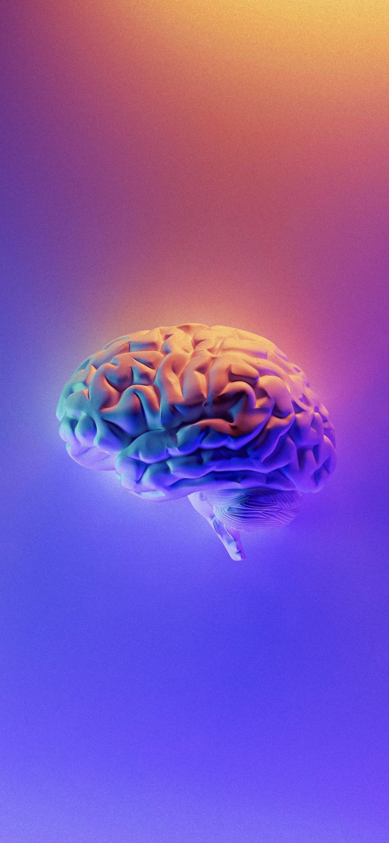 Books Mind, Mind, Book, The Future of The Mind, Shoe. Wallpaper in 1242x2688 Resolution