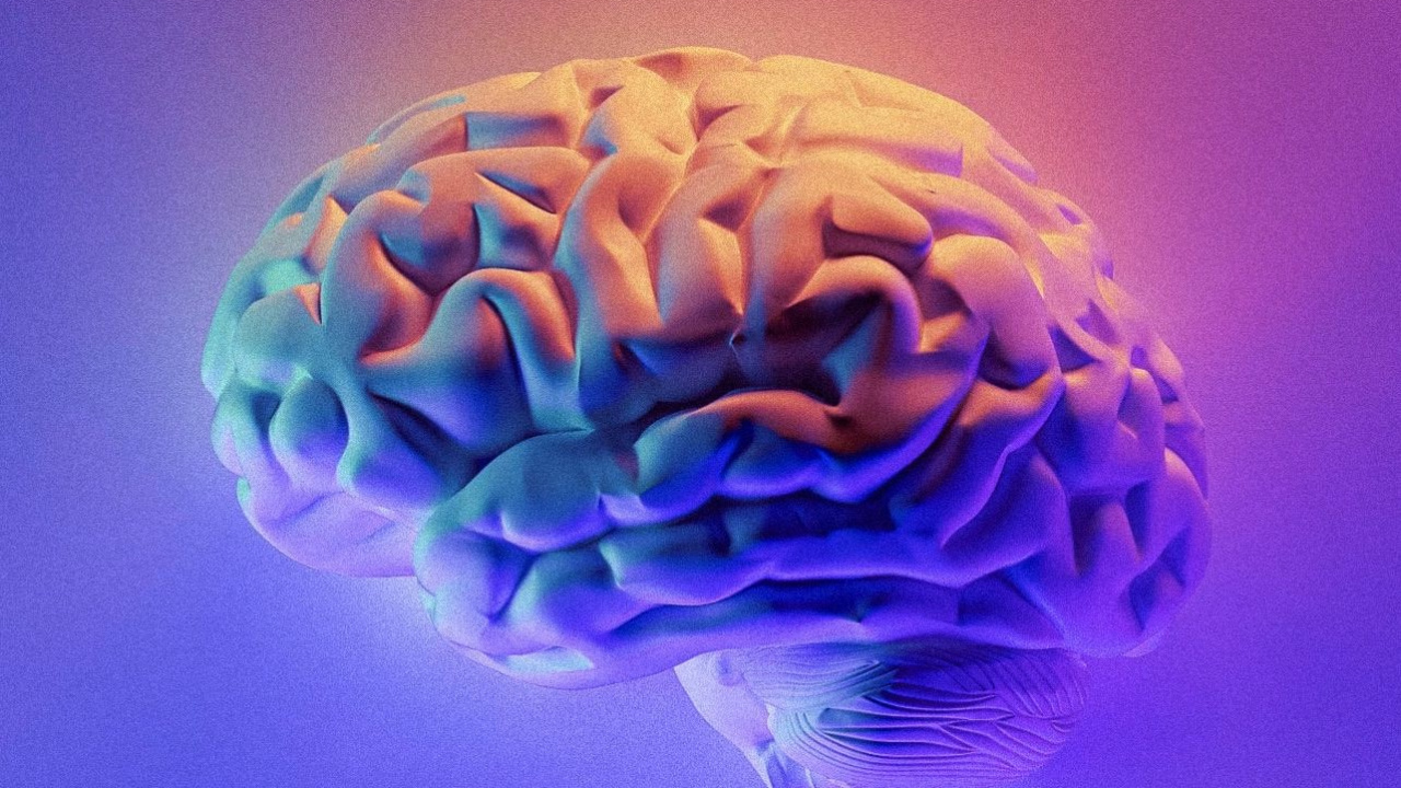 Books Mind, Mind, Book, The Future of The Mind, Shoe. Wallpaper in 1280x720 Resolution